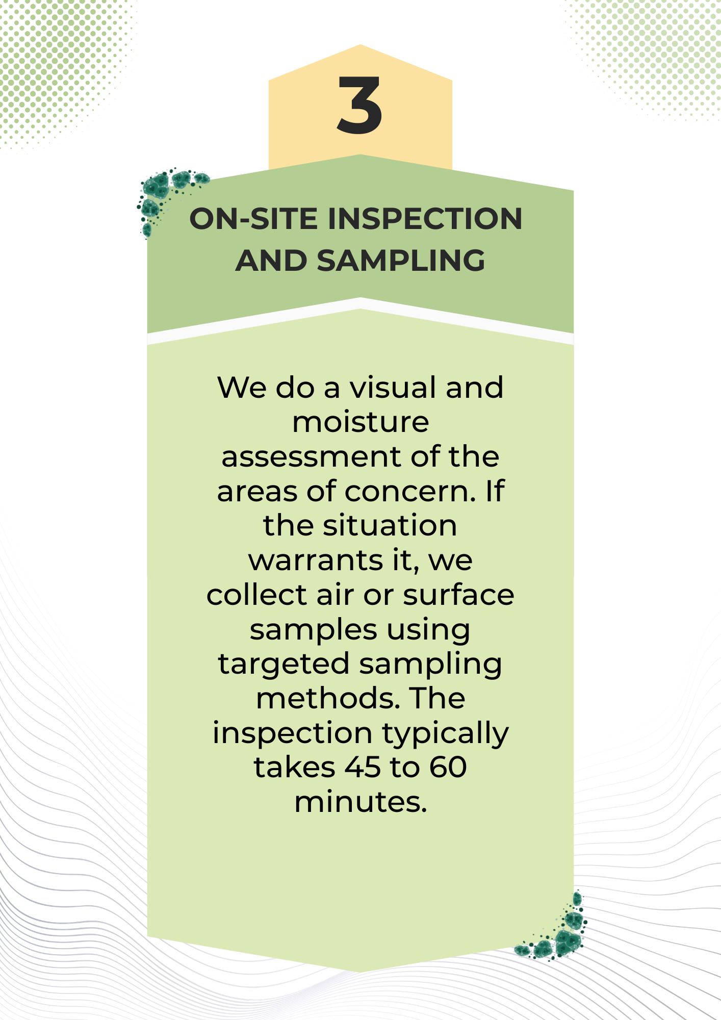 Step 3 is our mold inspector in Santa Barbara comes in to gather samples