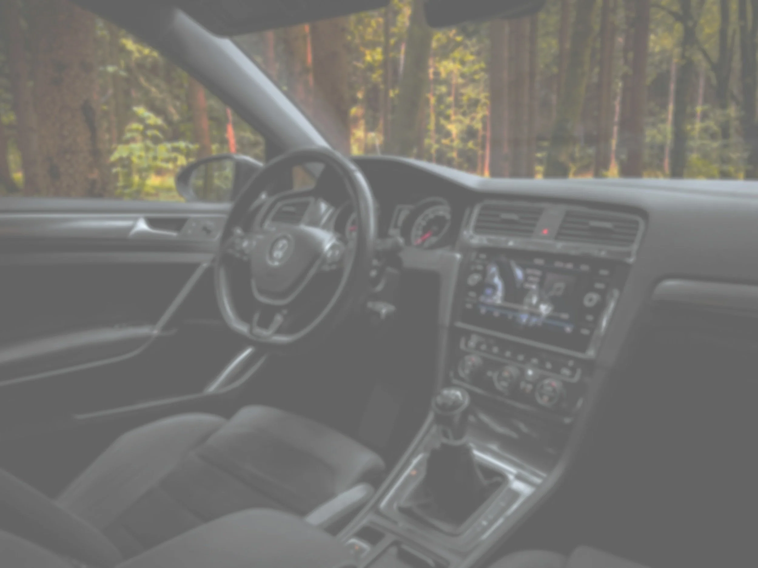 Interior of a car with black leather seats, a steering wheel with a logo, manual gear shift, and a dashboard with a digital display. Outside visible forest with tall trees.