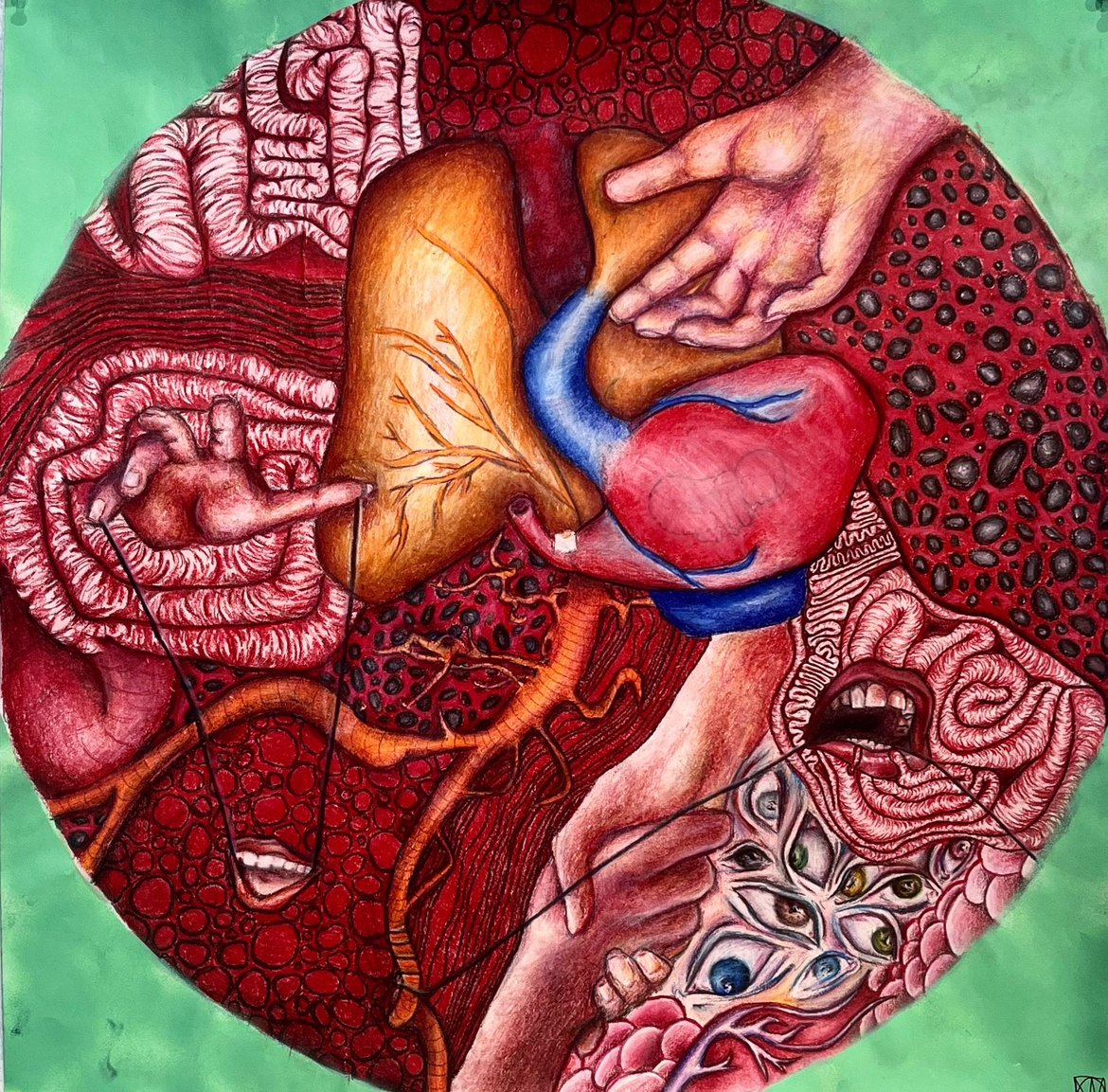What My Insides Feel They Look Like