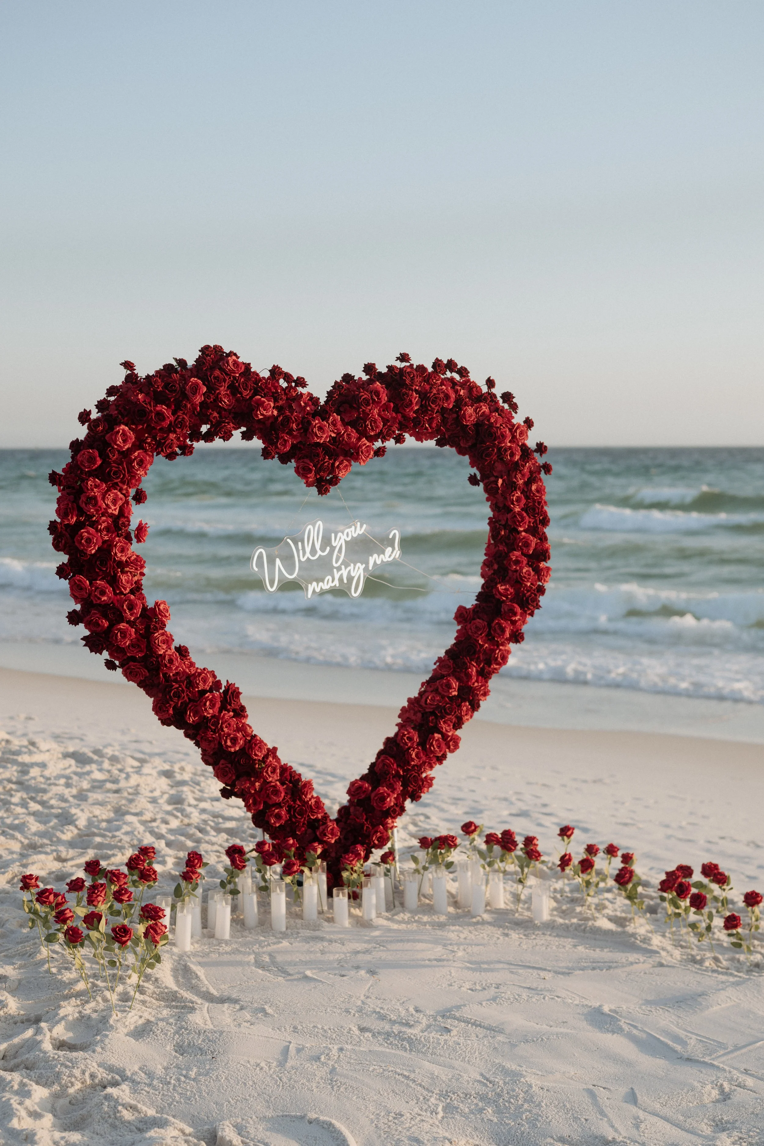 Panama City Beach Proposal with deep rose set up from coastal bloom, photos by Panama City beach photographers team