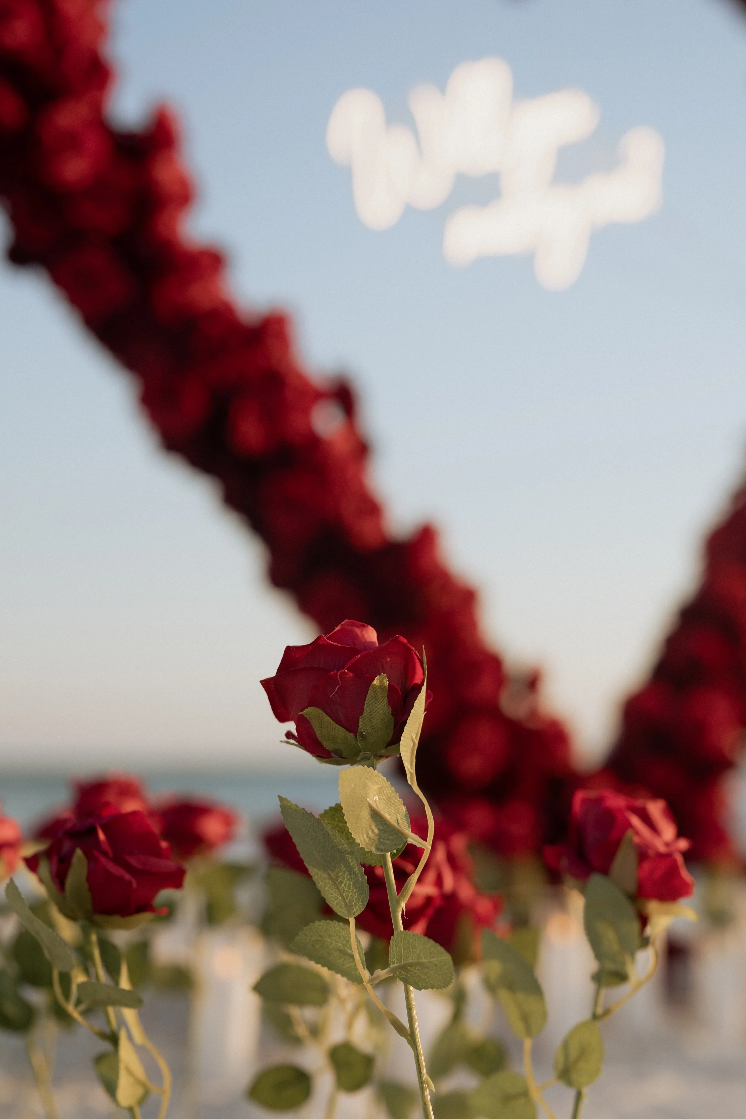 Panama City Beach Proposal with deep rose set up from coastal bloom, photos by Panama City beach photographers team