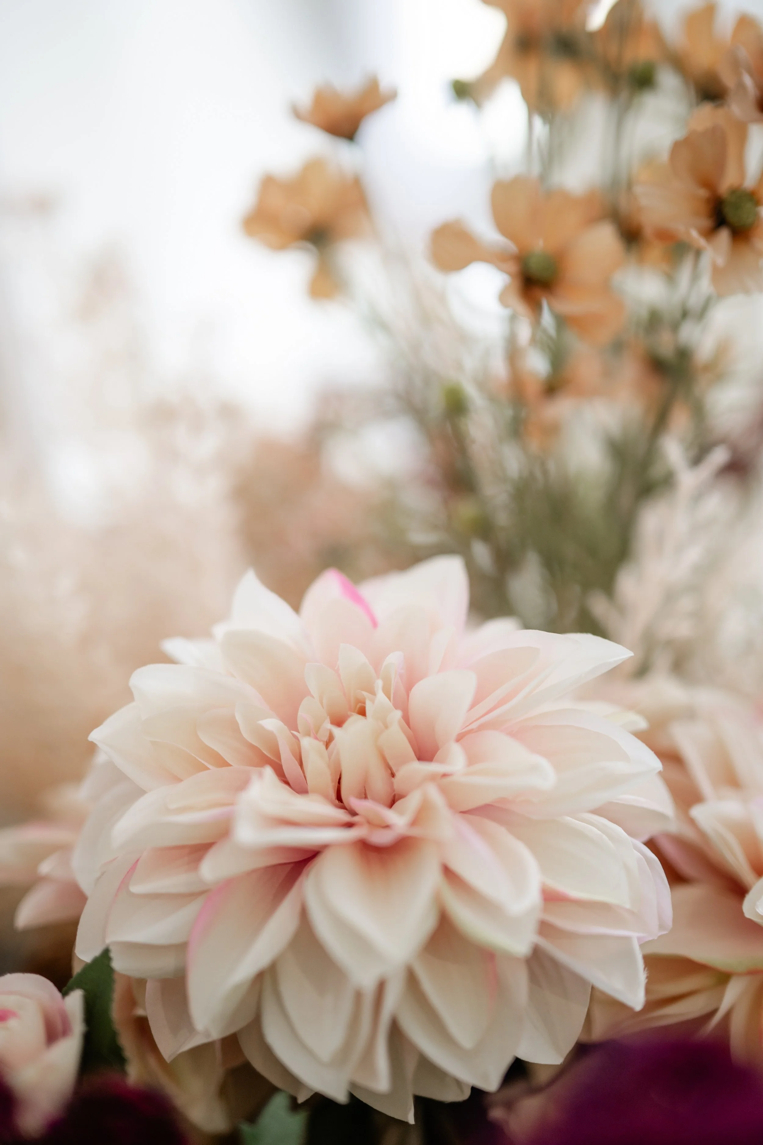 PCB-Proposal-wedding-(13 of 54).jpg