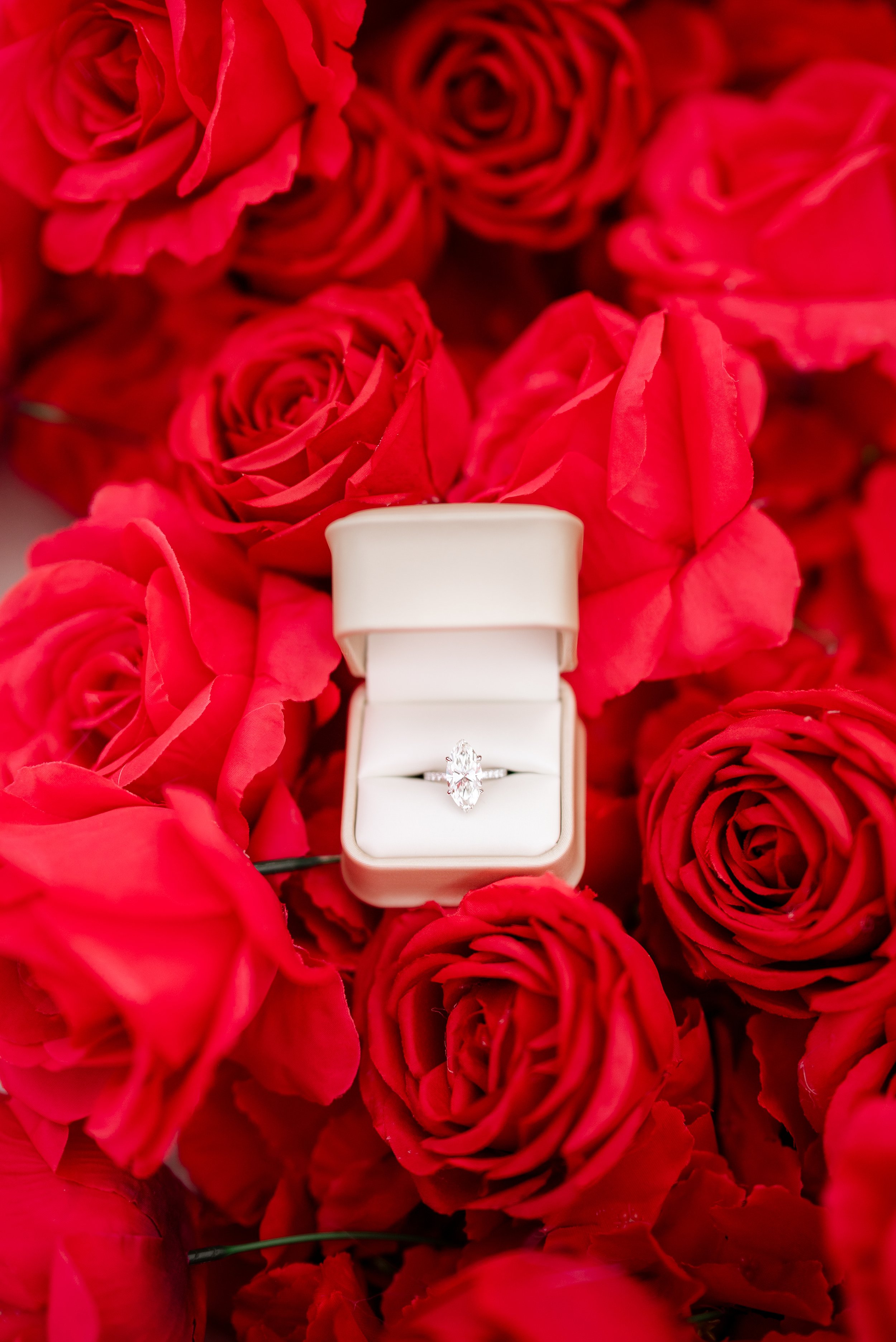 Panama City Beach Proposal with red rose set up from coastal bloom, photos by Panama City beach photographers team