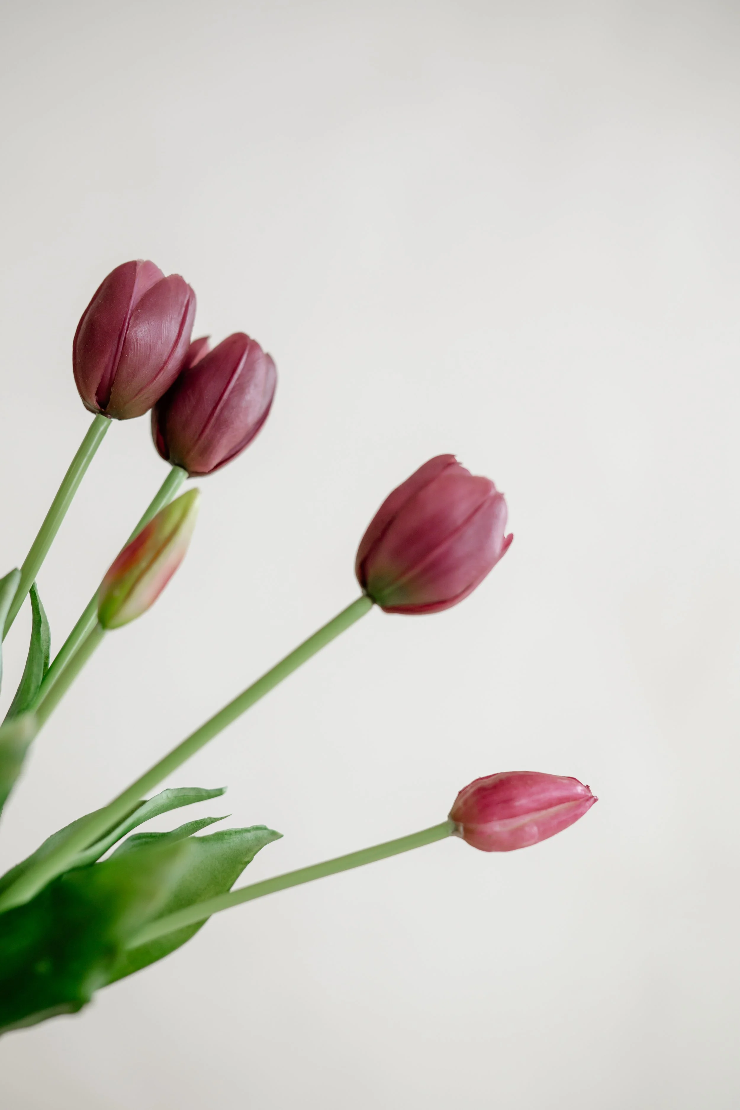 PCB-Proposal-wedding-(21 of 54).jpg