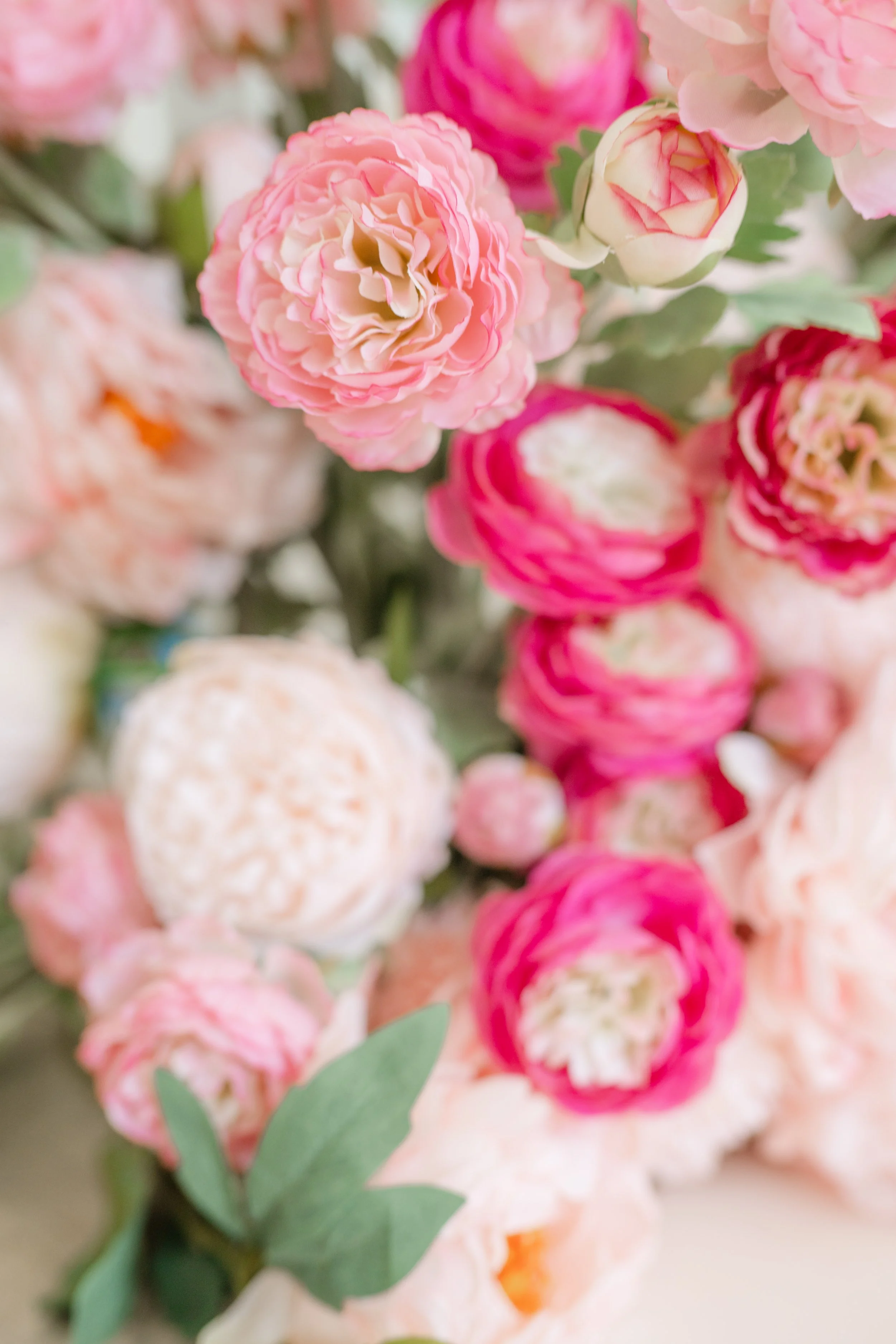 Close-up view of a bouquet of pink and white ranunculus flowers with green leaves.