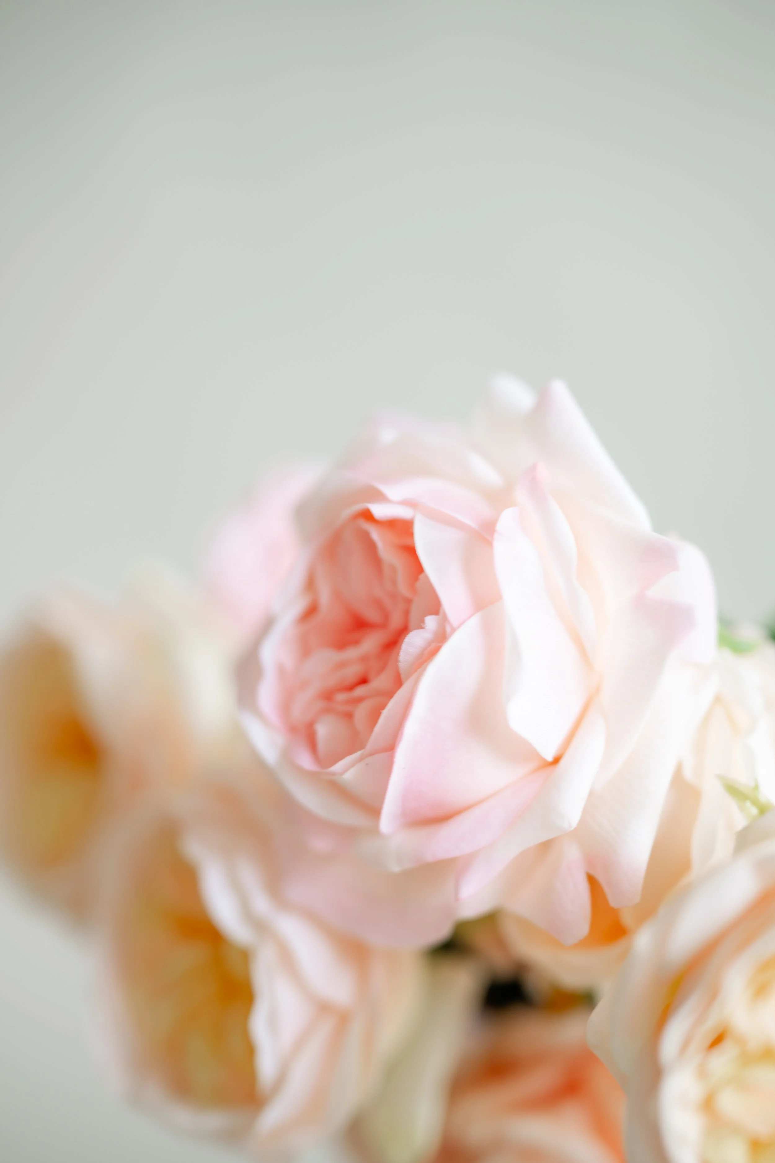 PCB-Proposal-wedding-(26 of 54).jpg