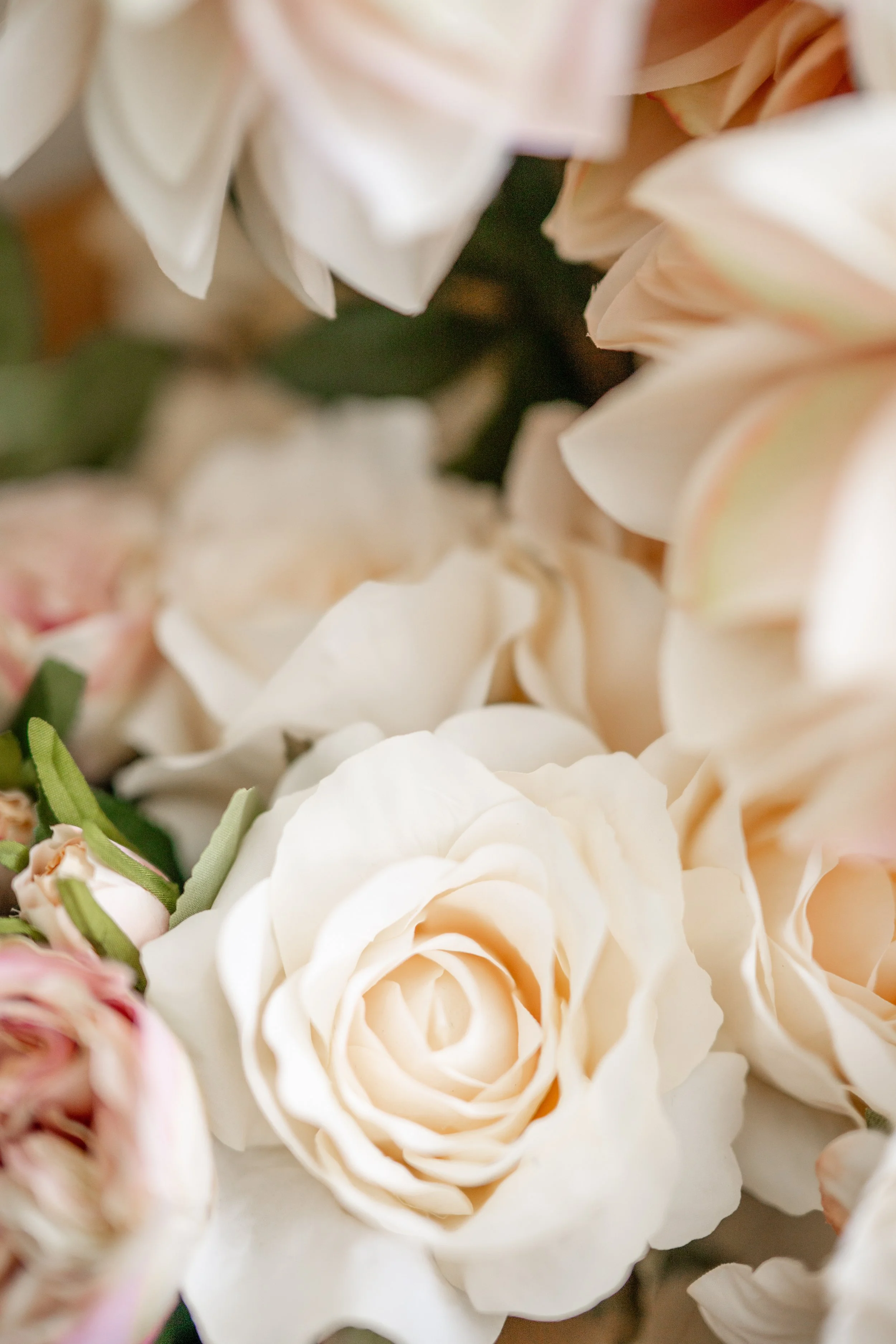 PCB-Proposal-wedding-(16 of 54).jpg