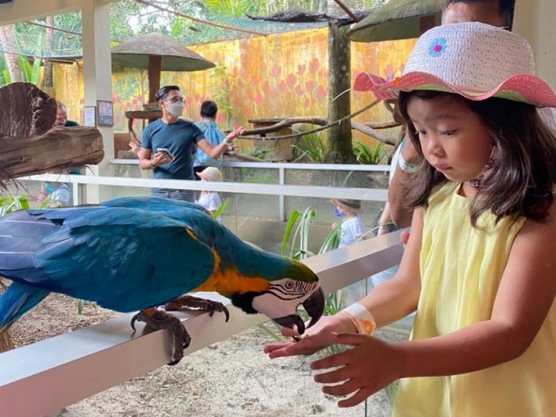LANGKAWI IMMERSIVE PARKS