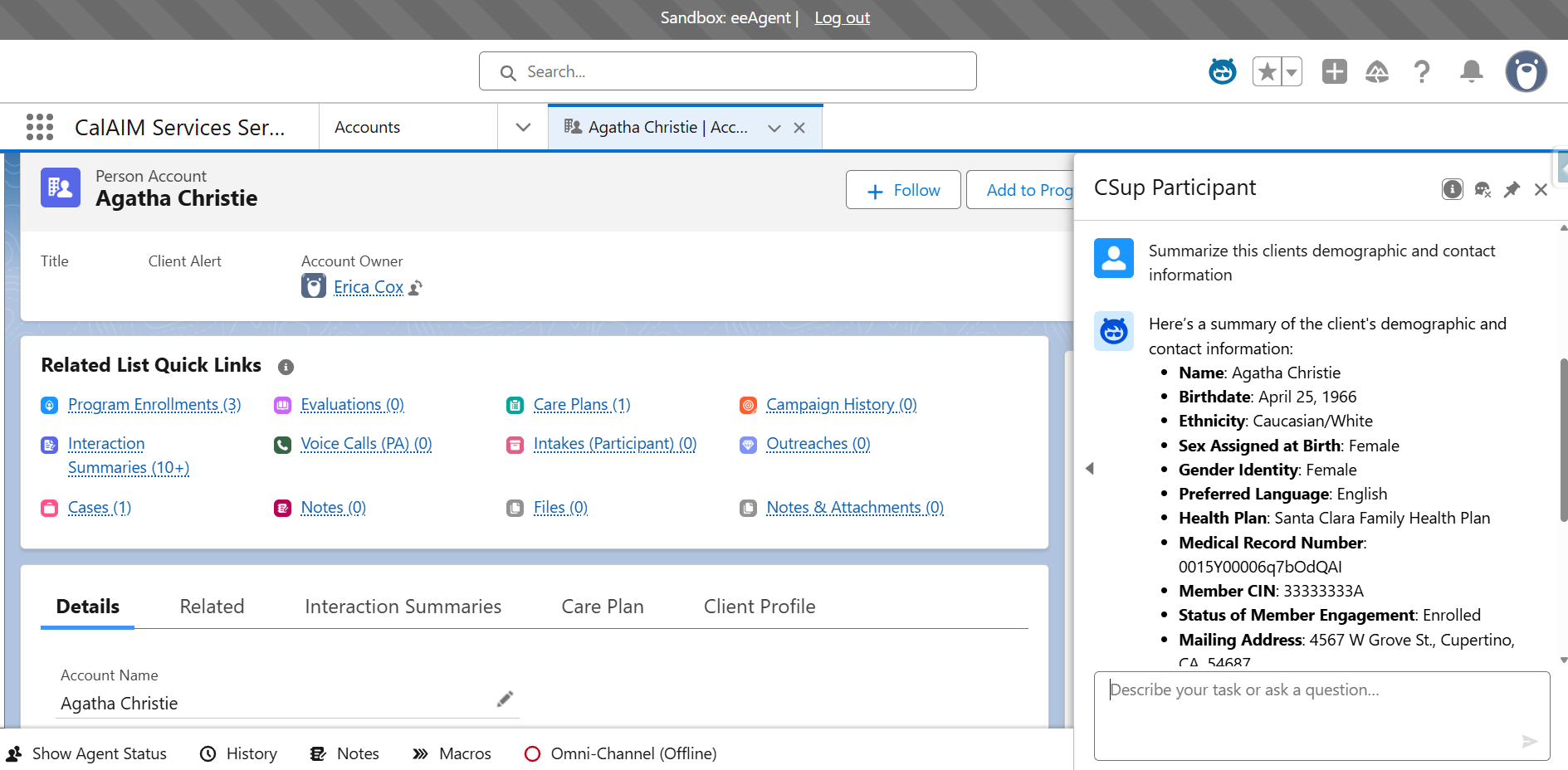 Salesforce org case record