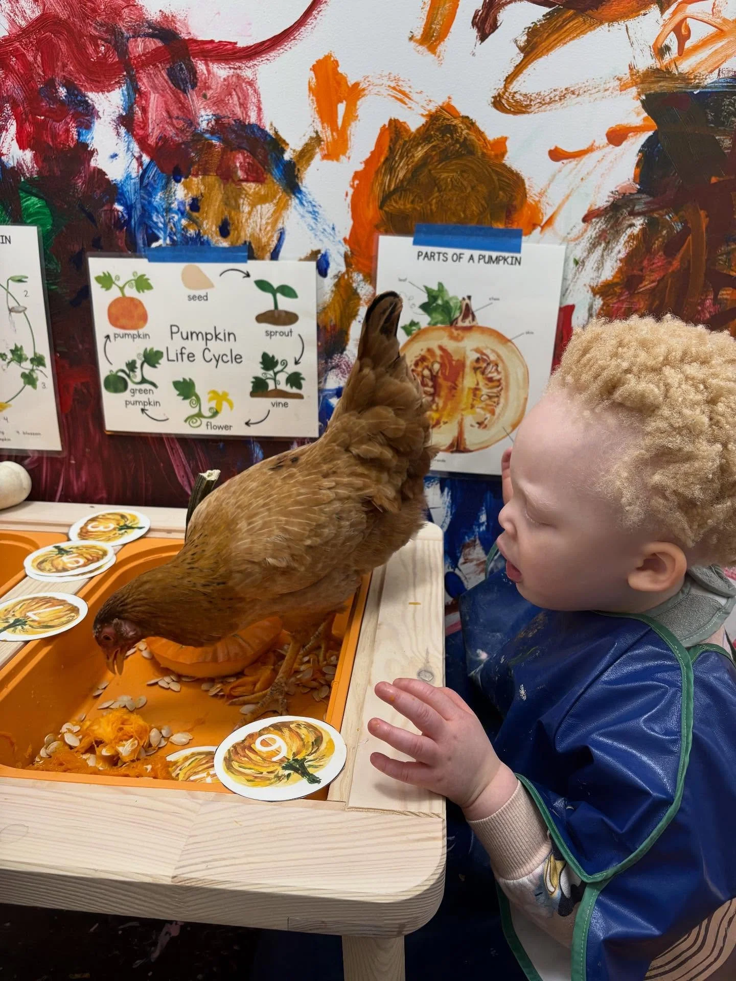 Enjoying All Things Fall! Our sensory hall and stations are open and ready for exploring. Join us during open play 🙂