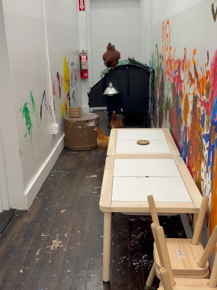 Stop by The Studio in March to see the egg hatching process.