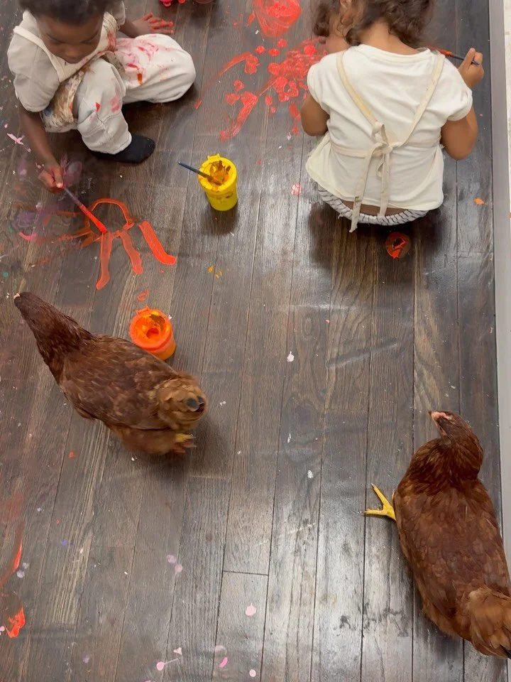 From baby chicks to hens. Our chickens are a part of our studio family. They share the space with our kids throughout the day both in our backyard and our indoor space. Next month we will be learning all things Farm and watching baby chicks hatch fro
