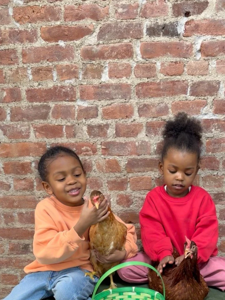 She was suppose to say &ldquo;Our chickens laid these eggs&rdquo;. I didn&rsquo;t even know our chickens were Jamaican 😂. We are so grateful. We sent home eggs today with the kiddies that came to our Holiday Camp. Our chickens are so loved. Thank Yo