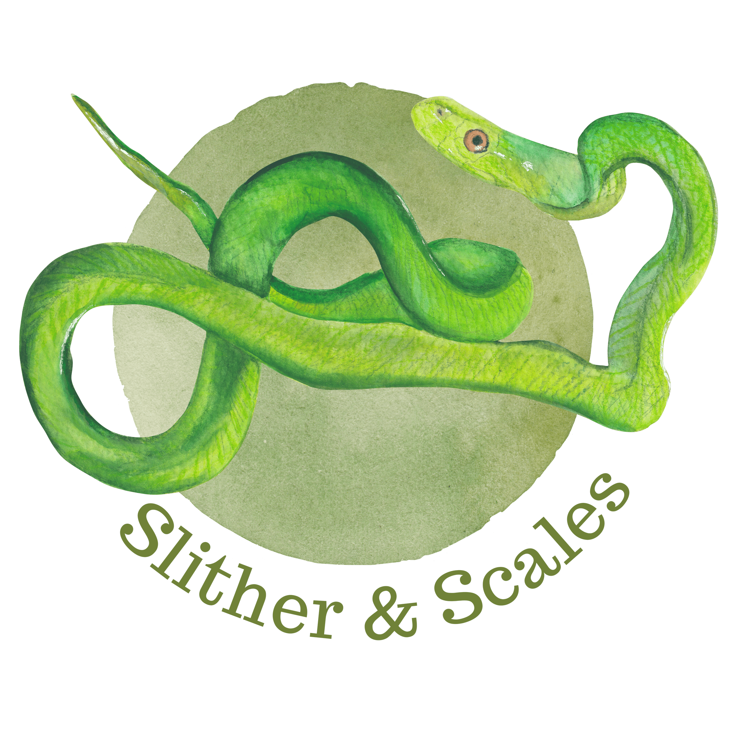 Illustration of a snake on a green circle with the text 'Slither & Scales' beneath it.