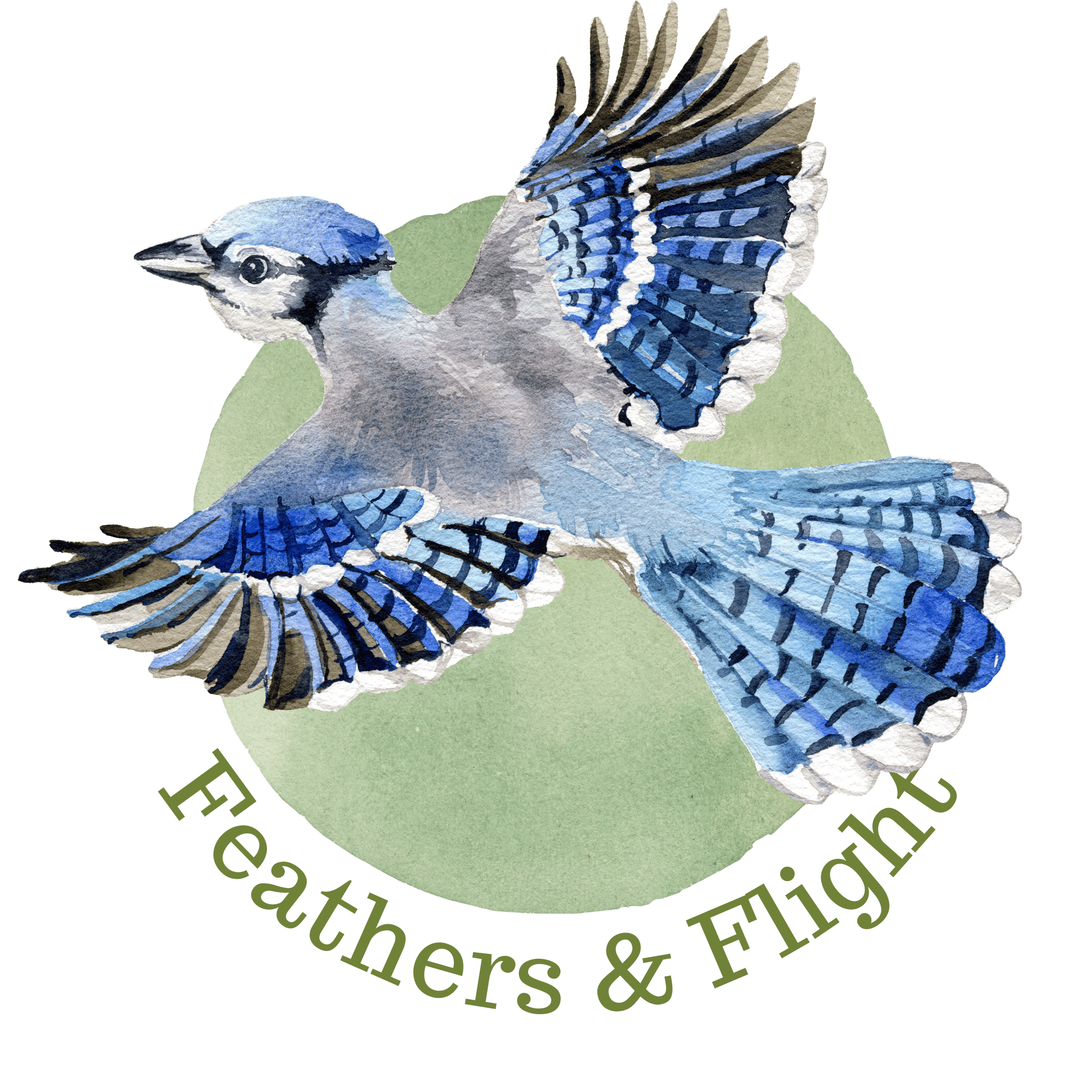 Illustration of blue bird labeled "Feathers & Flight"