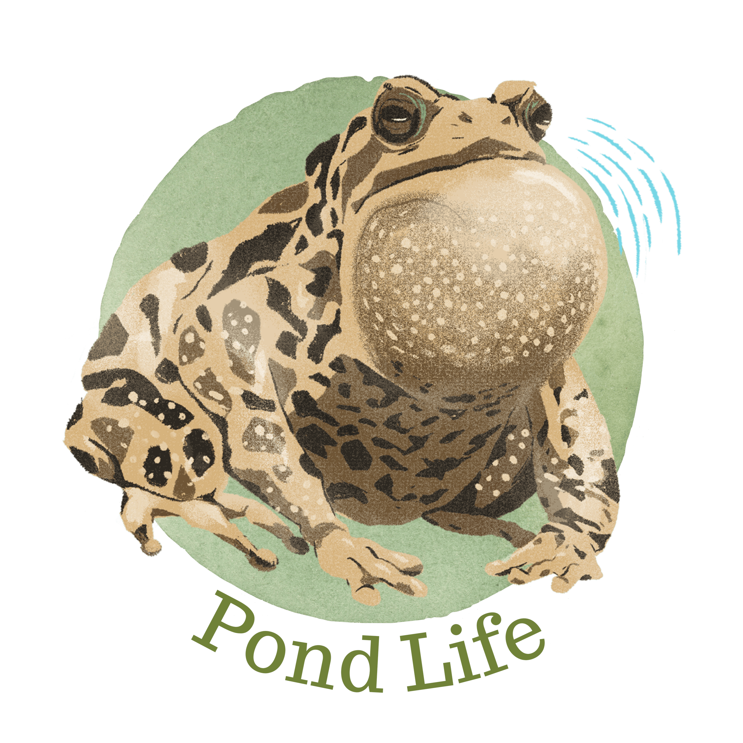 Watercolor frog logo for Pond Life with text below.