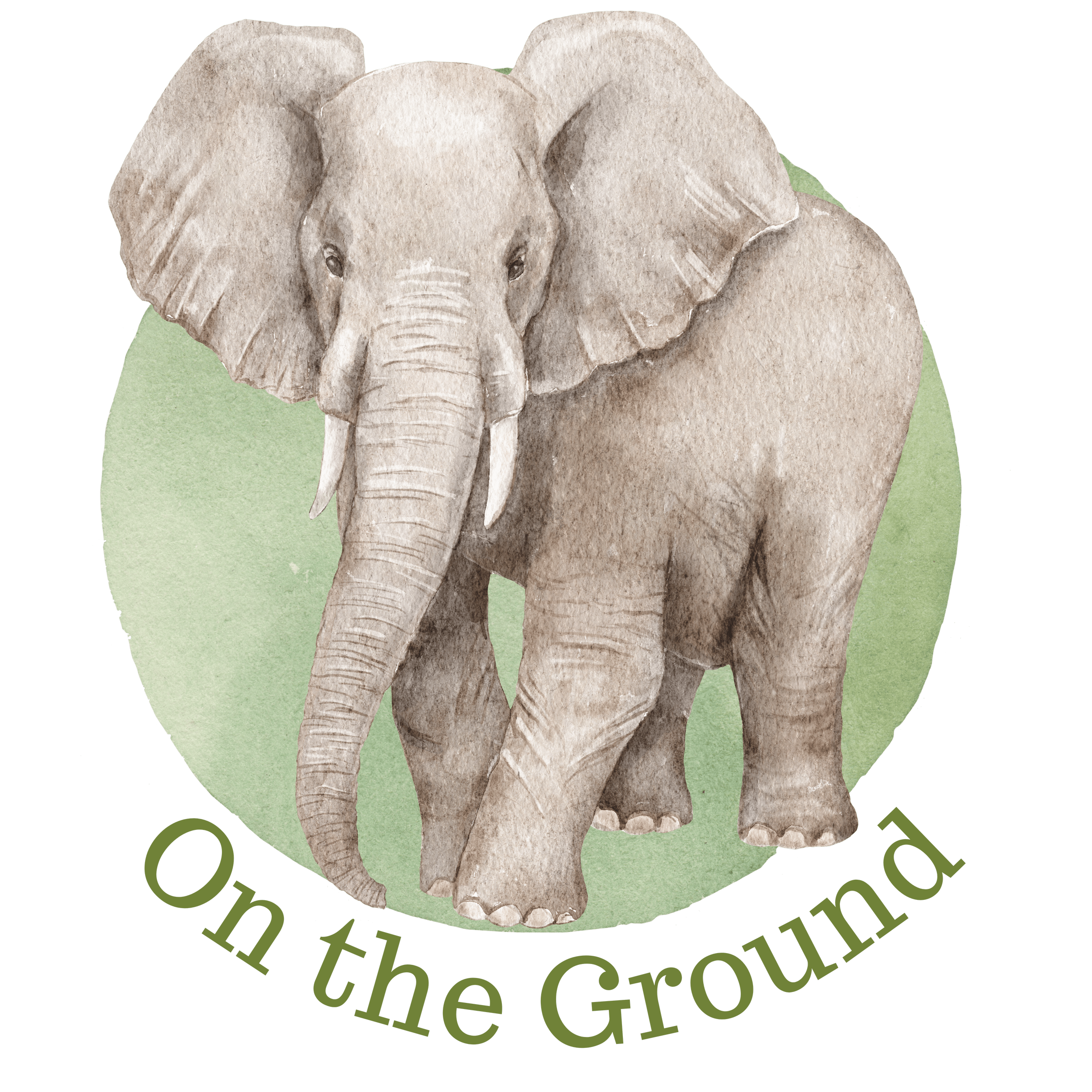 Watercolor elephant with text 'On the Ground' on a circular green background.
