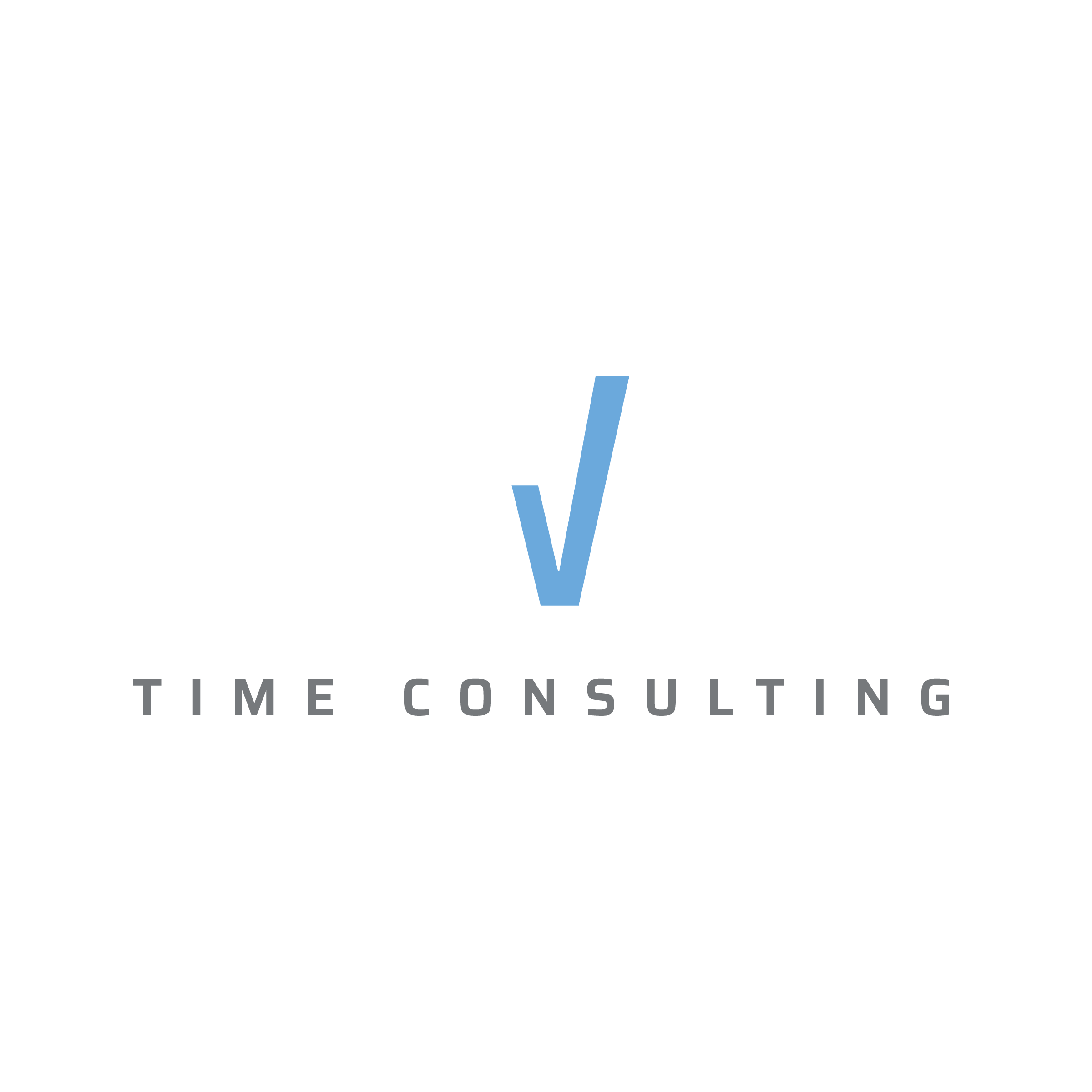 SkyWorks Time Consulting Logo
