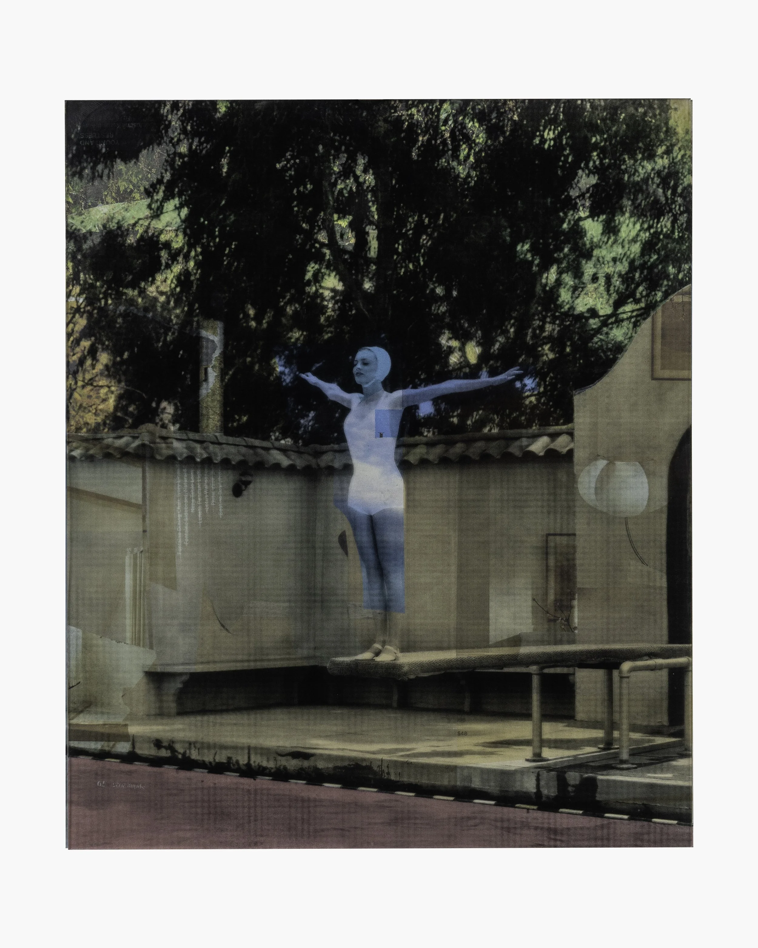 Burn Your Fire For No Witness 2 (Diving Woman)