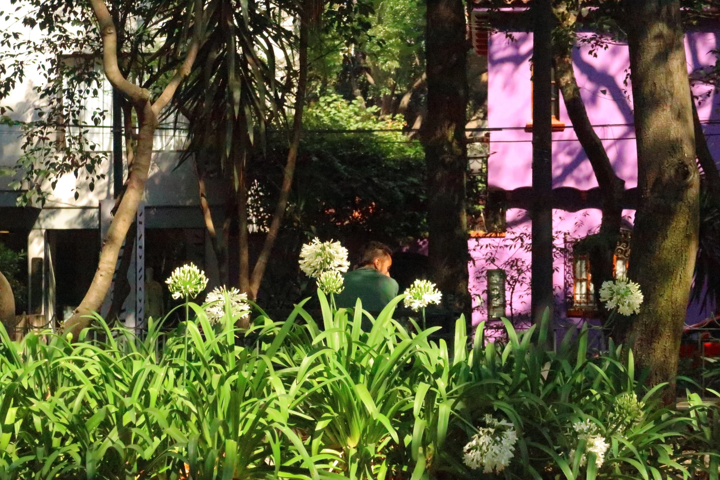 To anyone wondering if cities can nourish us