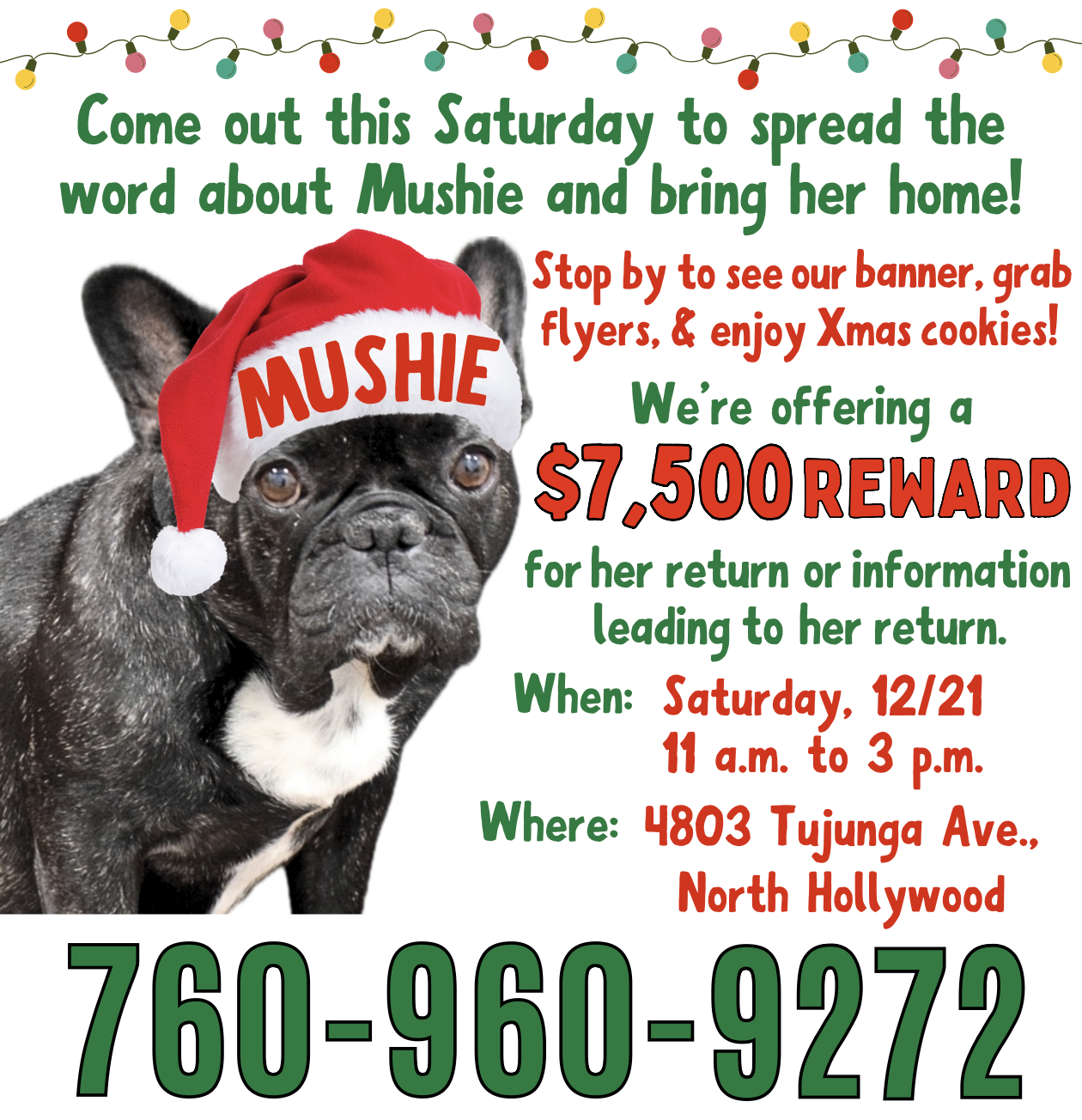 Community Event for Missing Frenchie “Mushie”