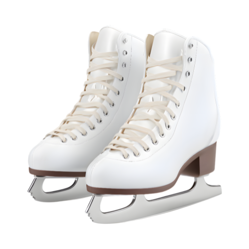 An image of figure skates.
