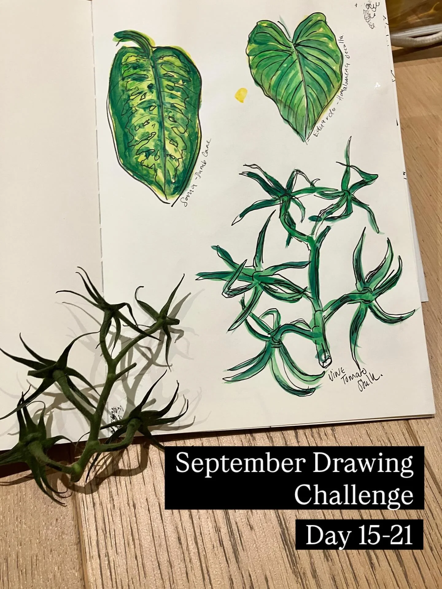 I&rsquo;m not gonna lie, I wasn&rsquo;t thinking of not posting this weeks sketches.

I&rsquo;ve been feeling a little creatively frustrated, unproductive and like I&rsquo;m treading water this past week and so when it has come to this challenge, it&