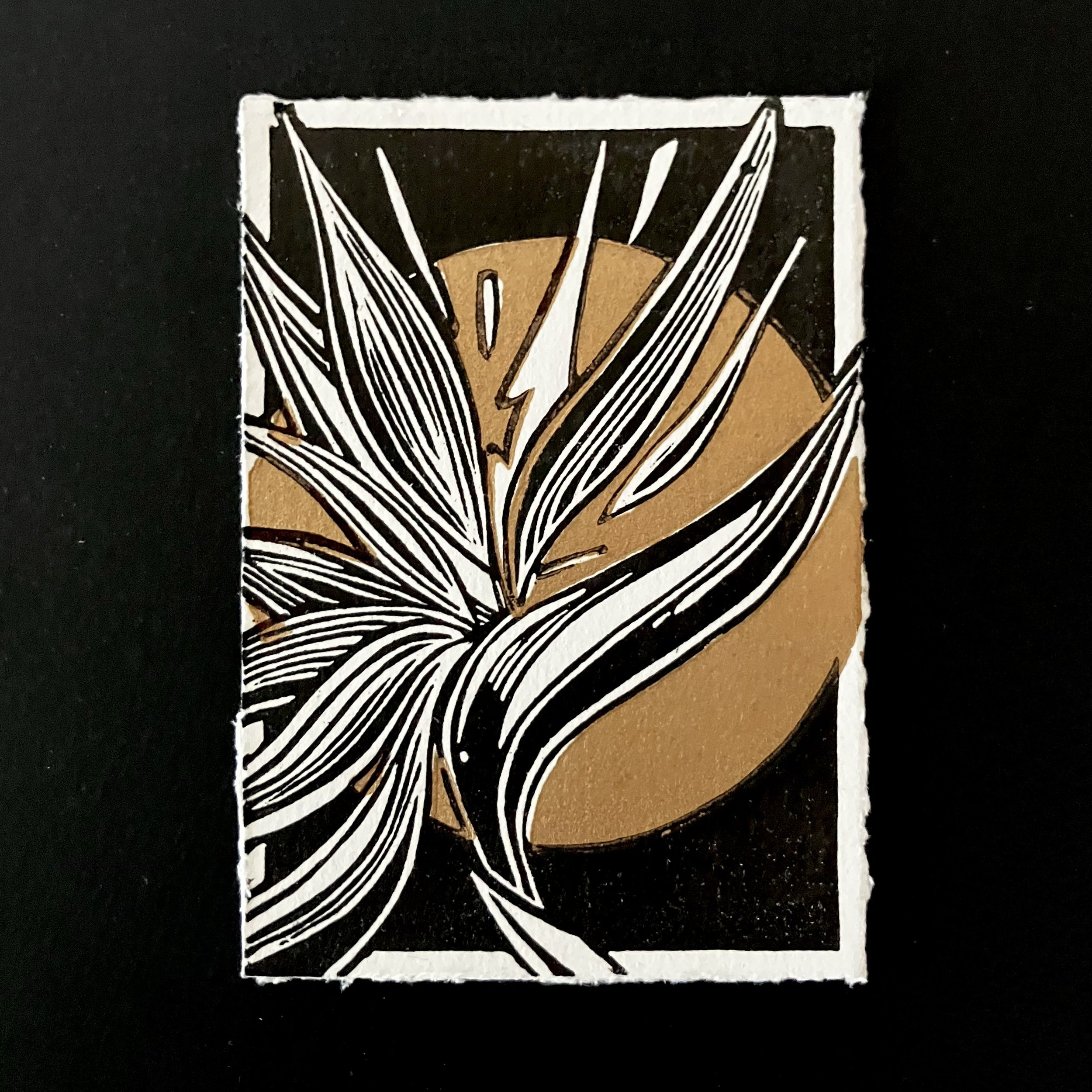 IMG_1986 2.JPG (Copy)