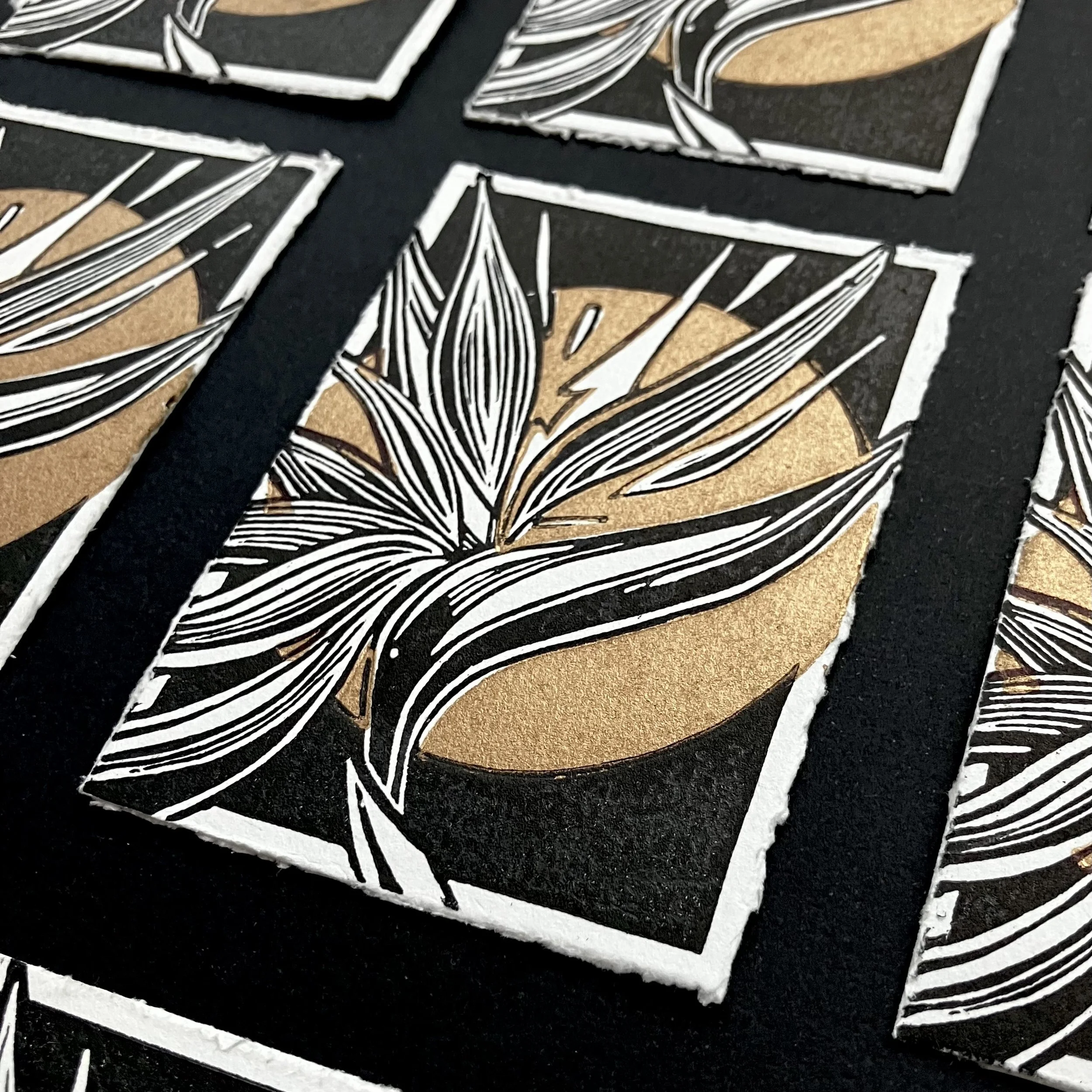 IMG_1967 3.JPG (Copy)