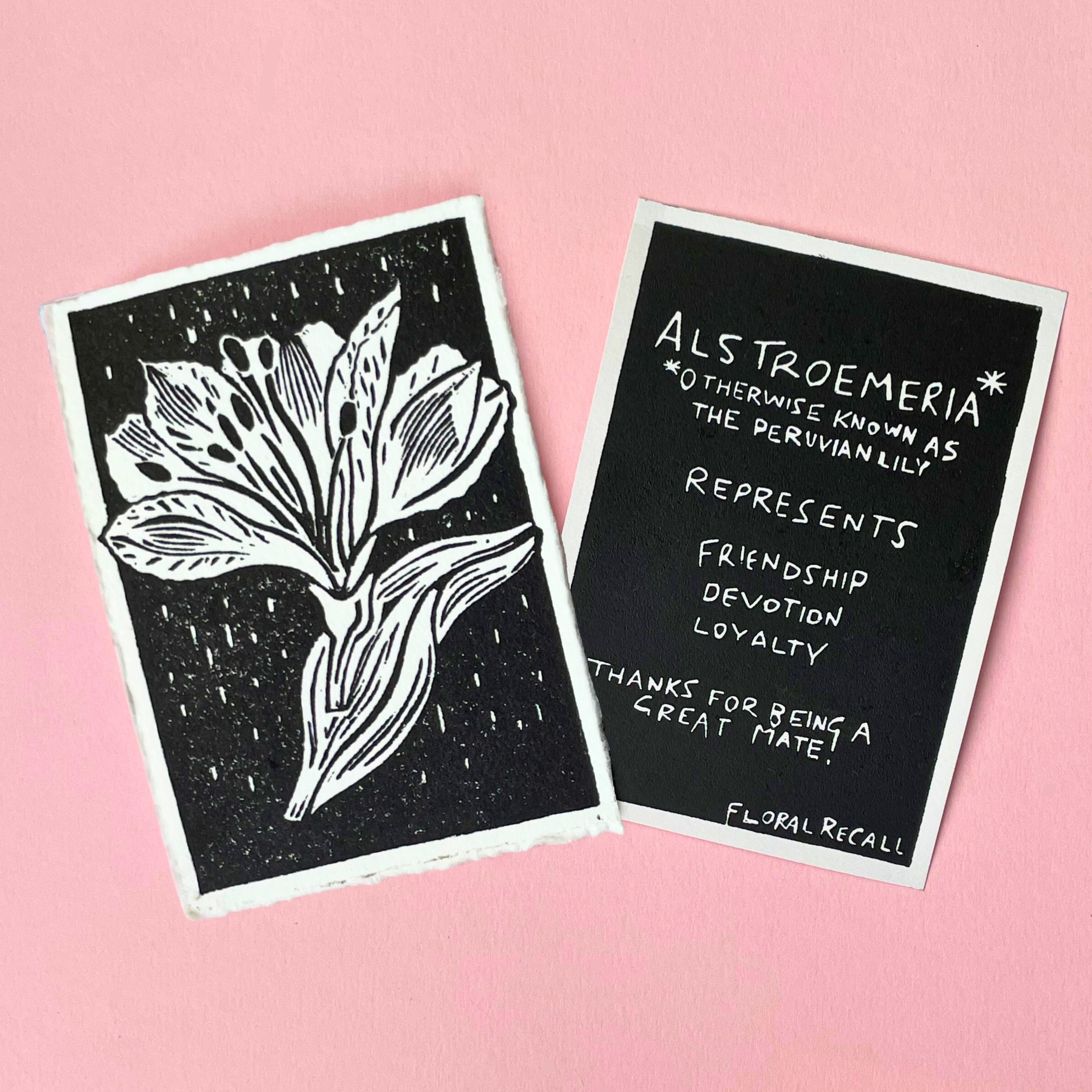 FLAT LAY - ASTRID ALSTROEMERIA THE SPRIG - BLACK WITH INFO CARD - MATTE BLACK.png.png