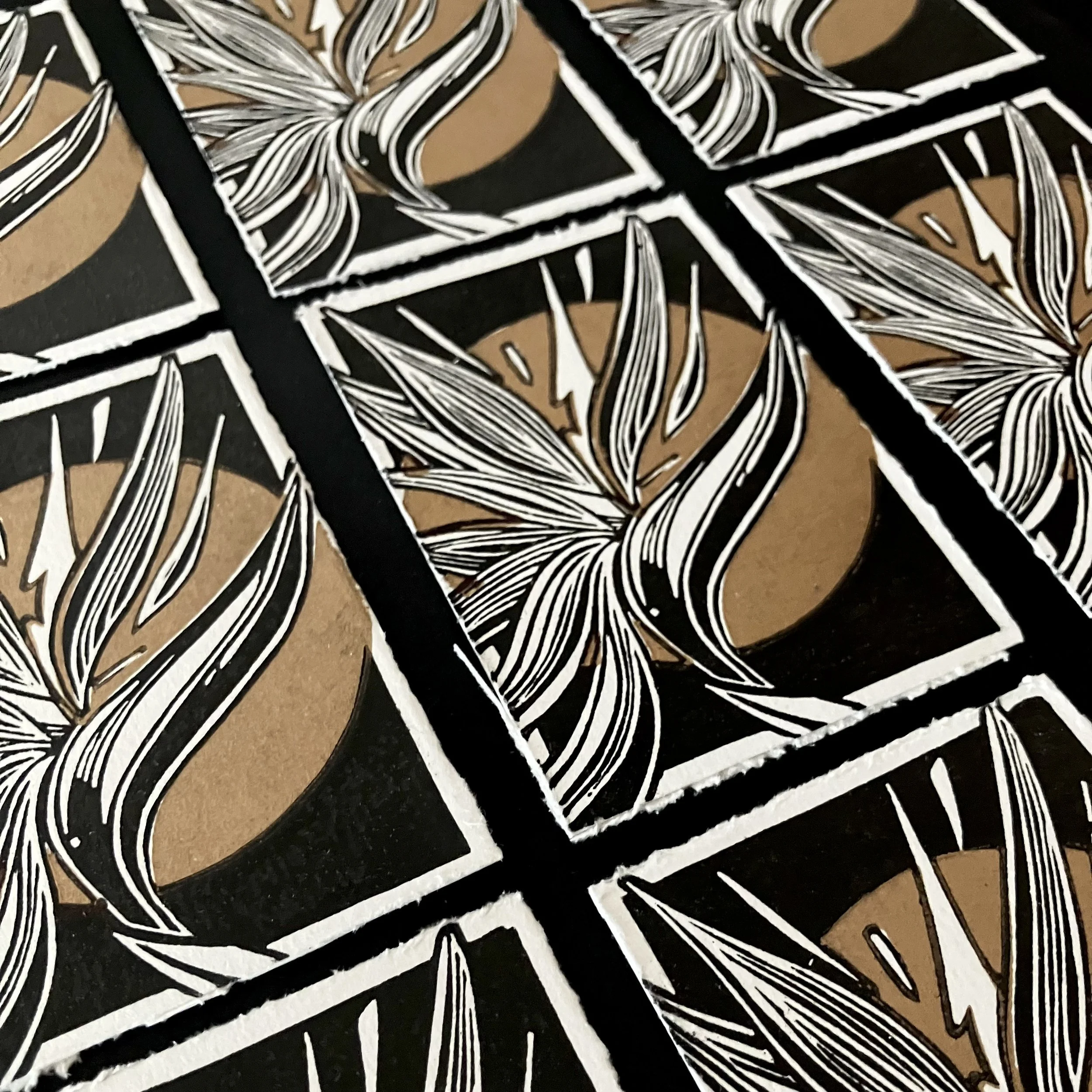 IMG_1983 3.JPG (Copy)