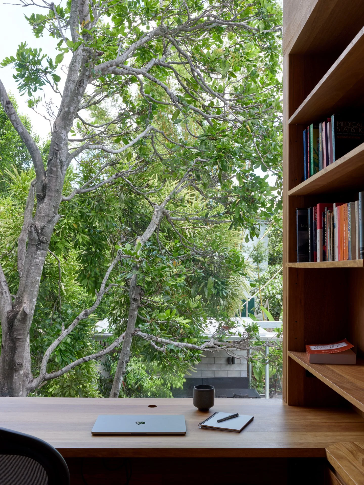 Large glass opening - Bespoke renovation to home in New Farm, Brisbane, by Allen Brothers Construction.