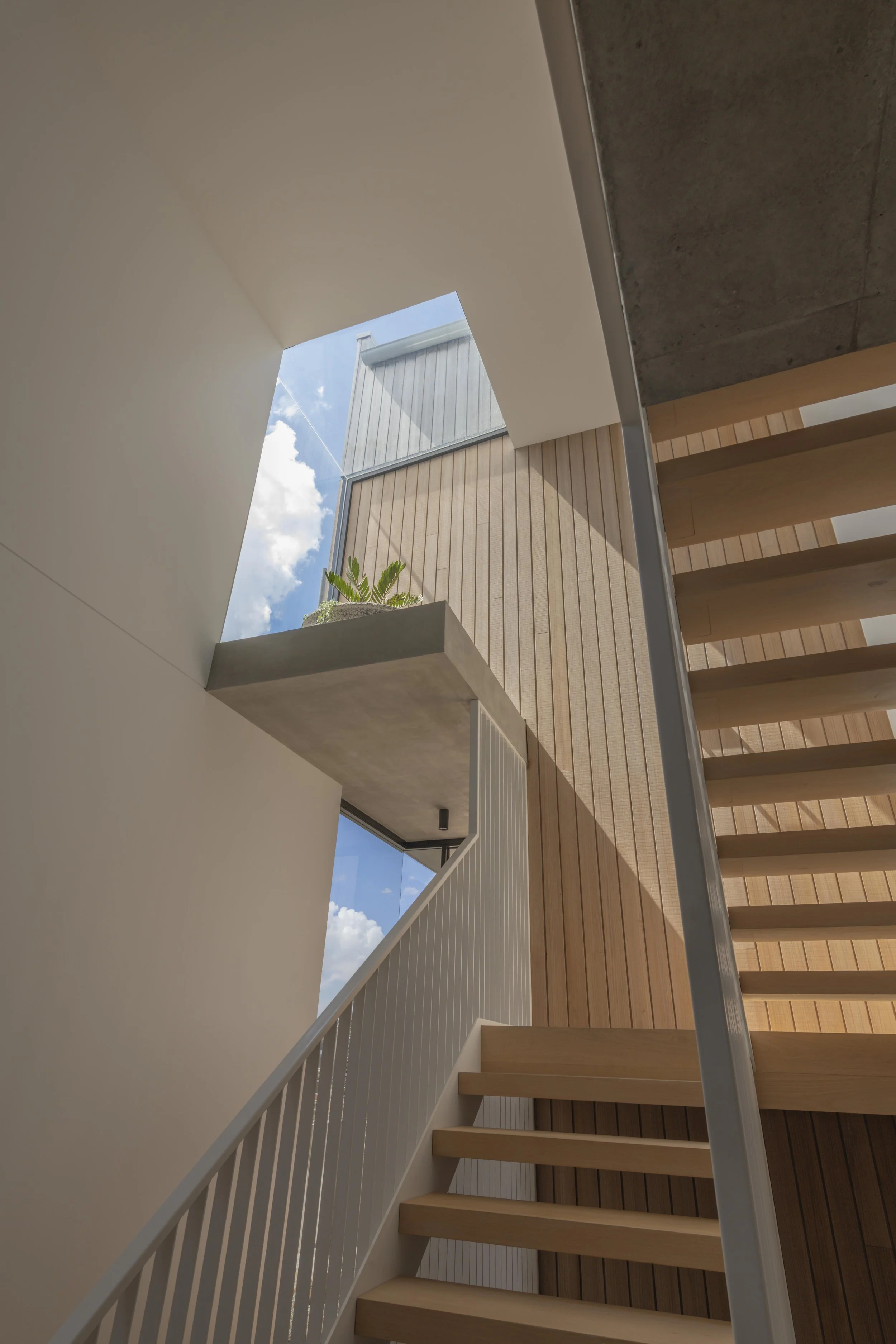 Timber staircase with skylight, concrete planter, and vertical cladding in a luxury Brisbane home by Allen Brothers Construction