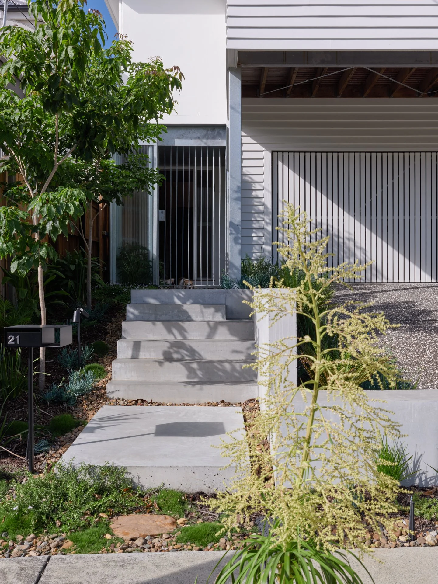 Off form concrete entrance - Bespoke renovation to home in New Farm, Brisbane, by Allen Brothers Construction.
