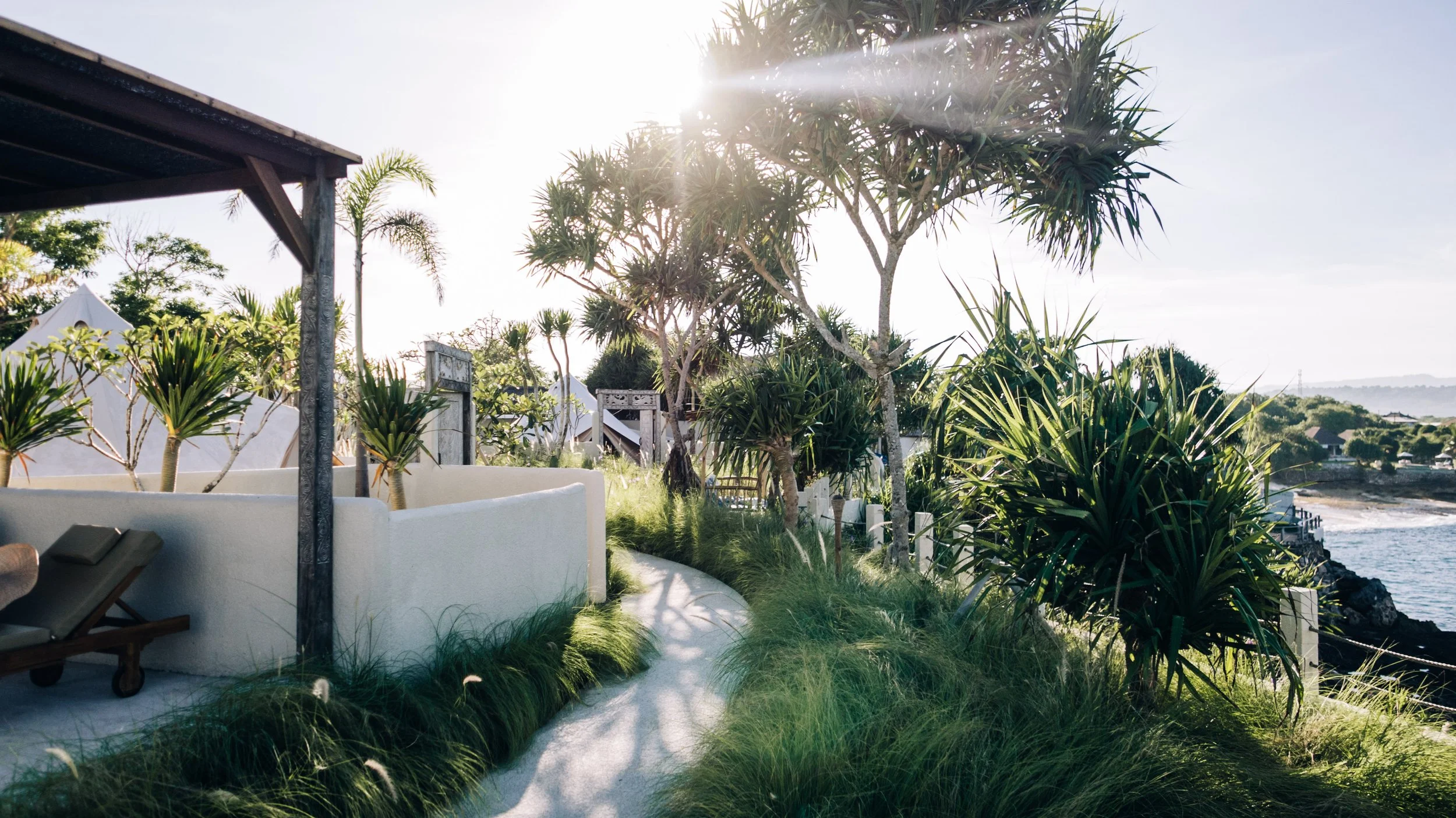 Coastal garden with tropical plants and trees, white pathway, overlooking the ocean, under a bright sun.