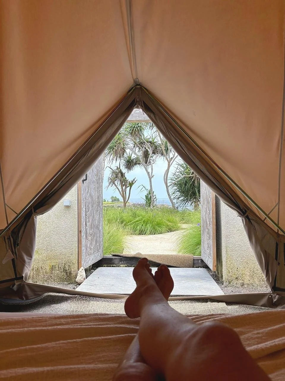 Person lying inside a tent looking out at a grassy landscape with trees and a body of water in the distance.