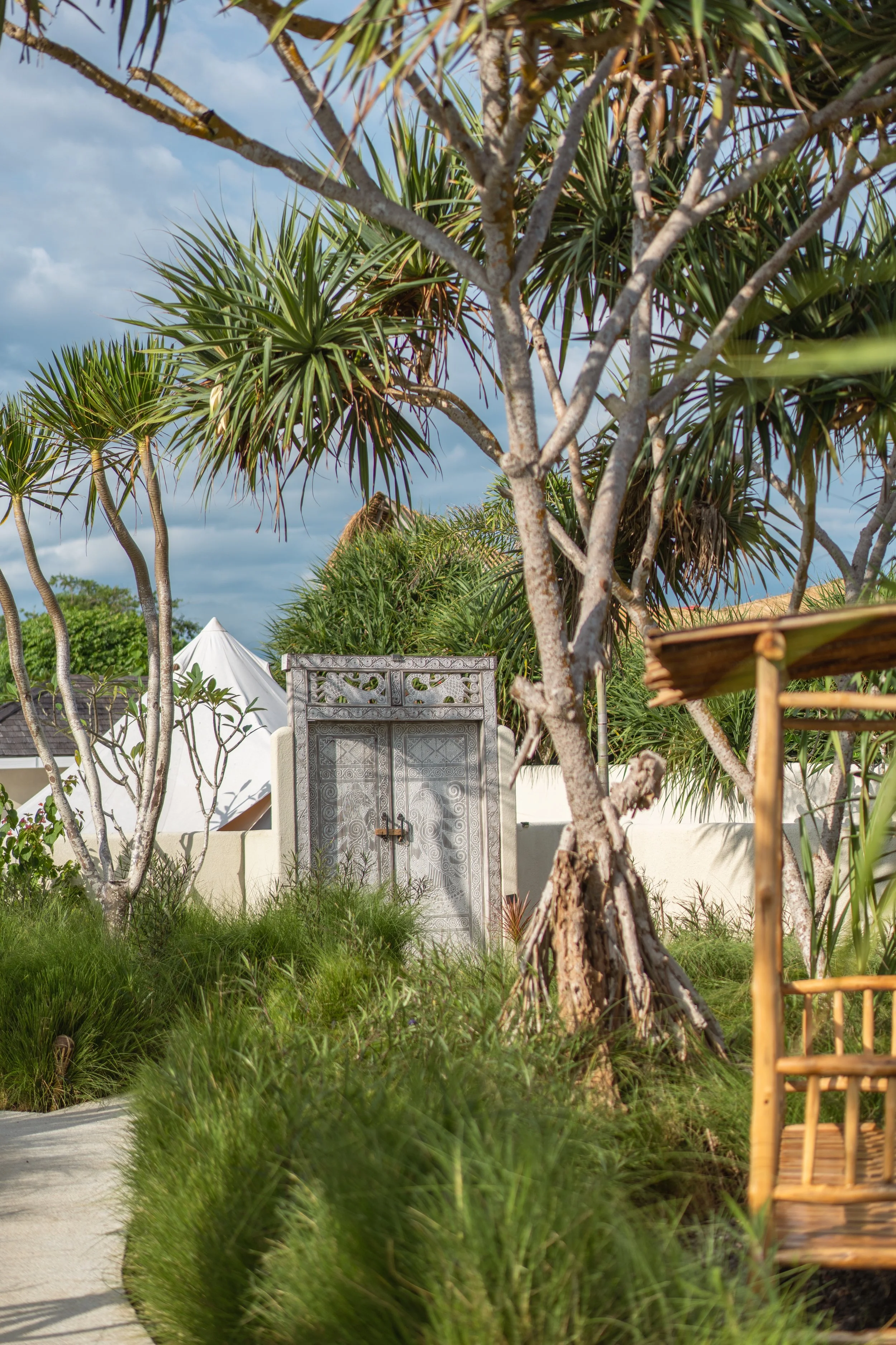 Tropical garden with a tall, slender tree, lush green plants, and a decorative metal gate surrounded by a white wall, under a partly cloudy sky.