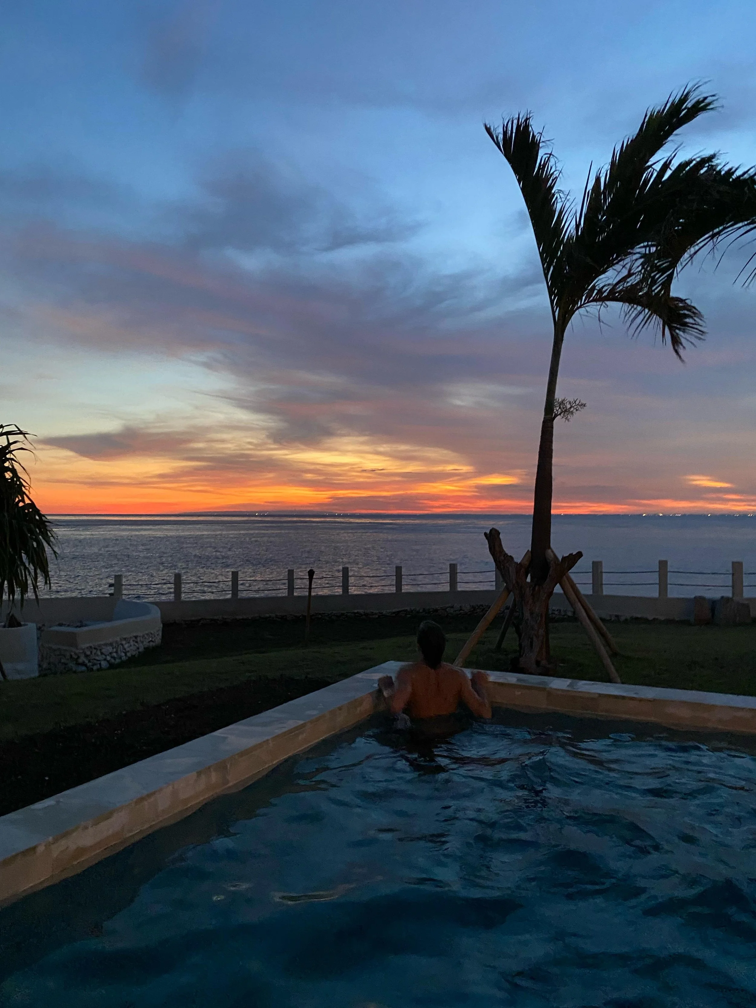 A person relaxing in a pool during sunset with an ocean view, a tall palm tree, and a cloudy sky.