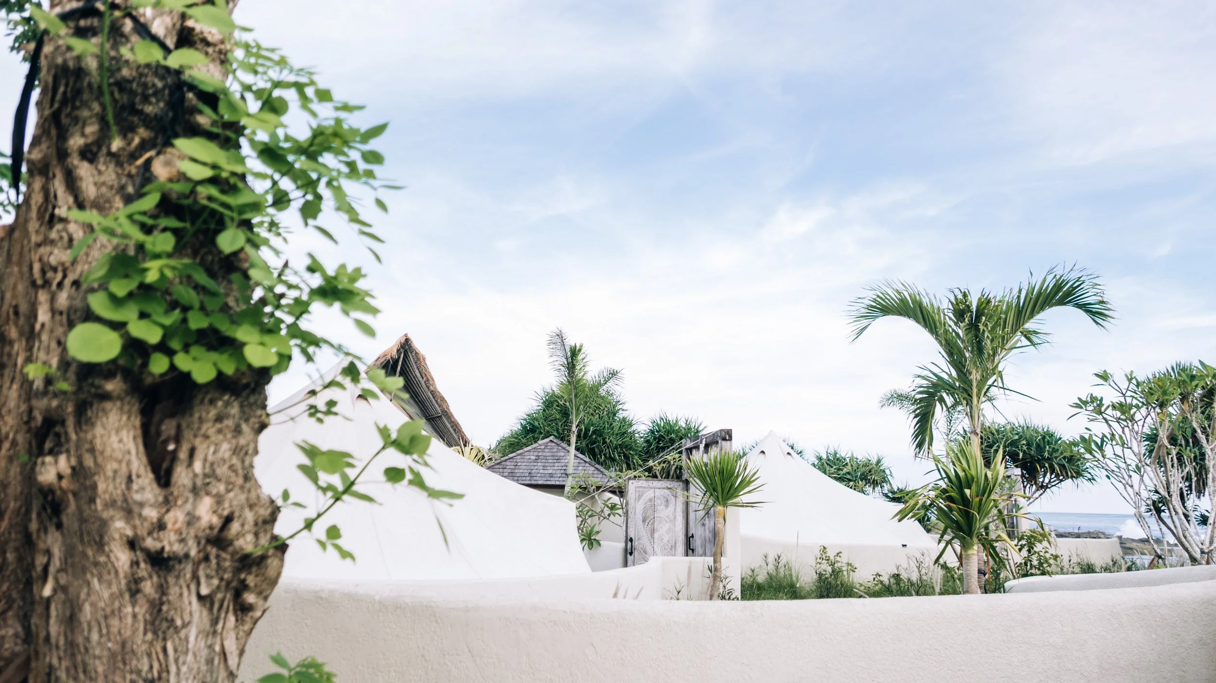 Tropical scene with palm trees, a white wall, thatched-roof structures, and a partly cloudy sky.