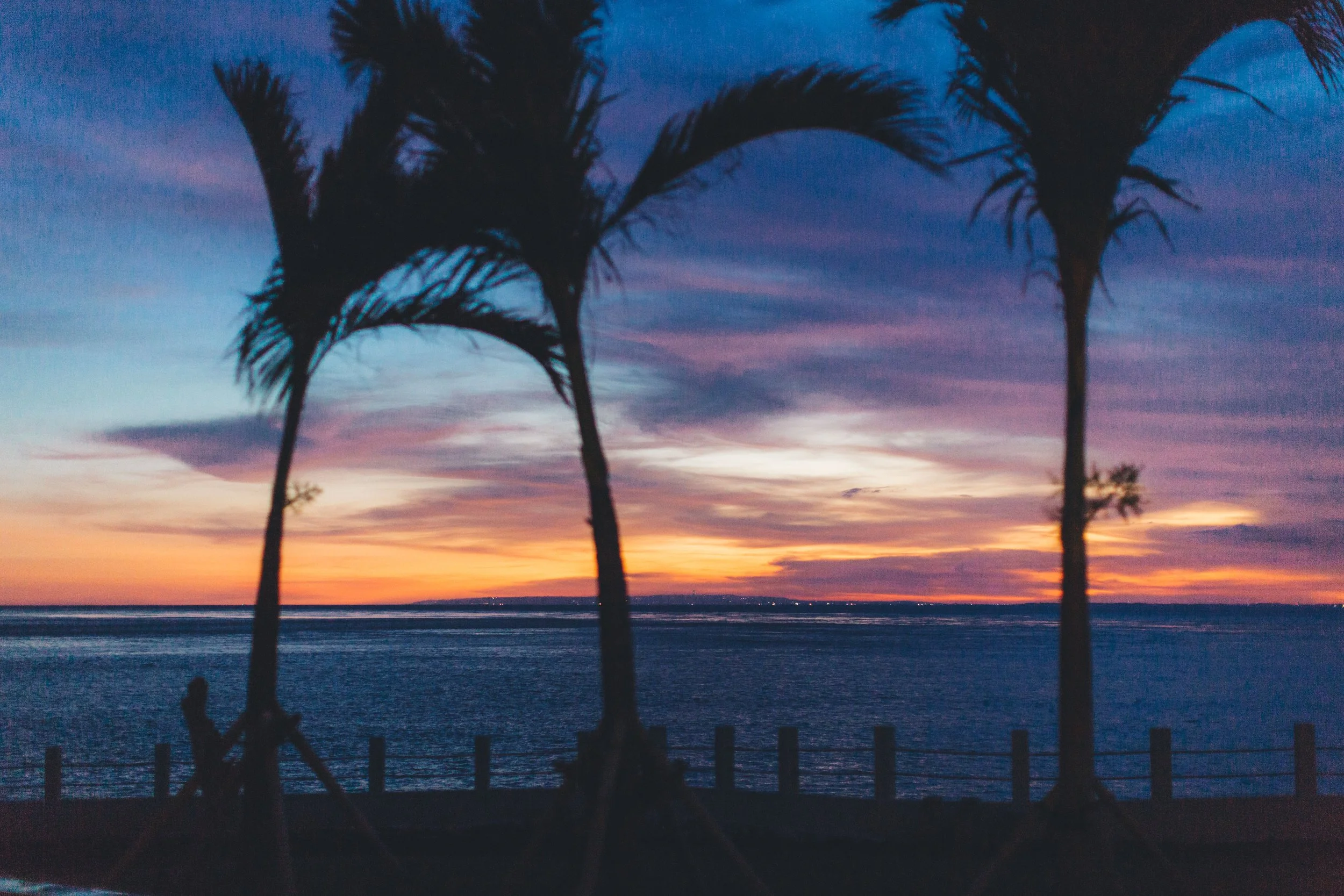 Sunset over the ocean with three silhouetted palm trees in the foreground.