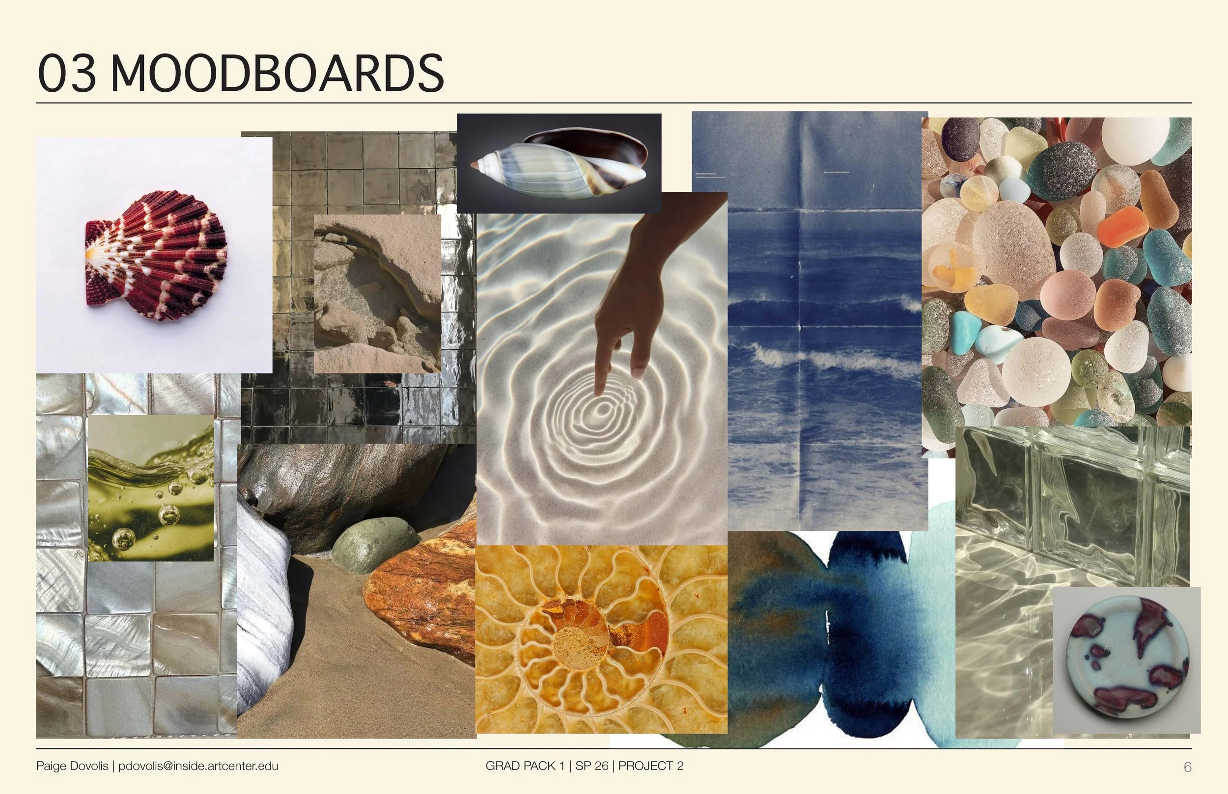 Project 2 Pres_Page_06.jpg