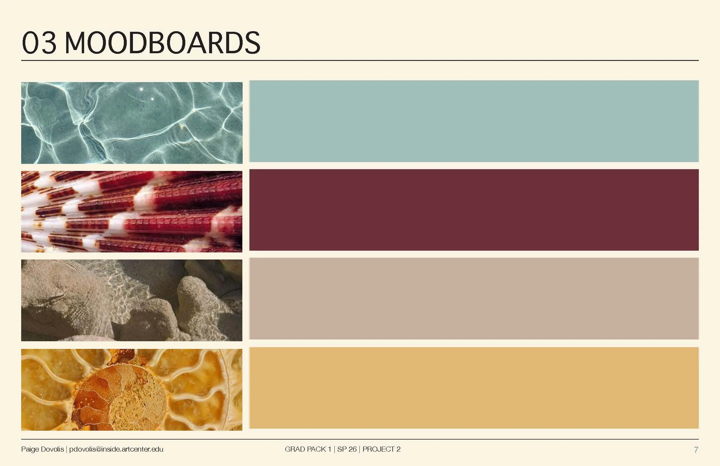 Project 2 Pres_Page_07.jpg