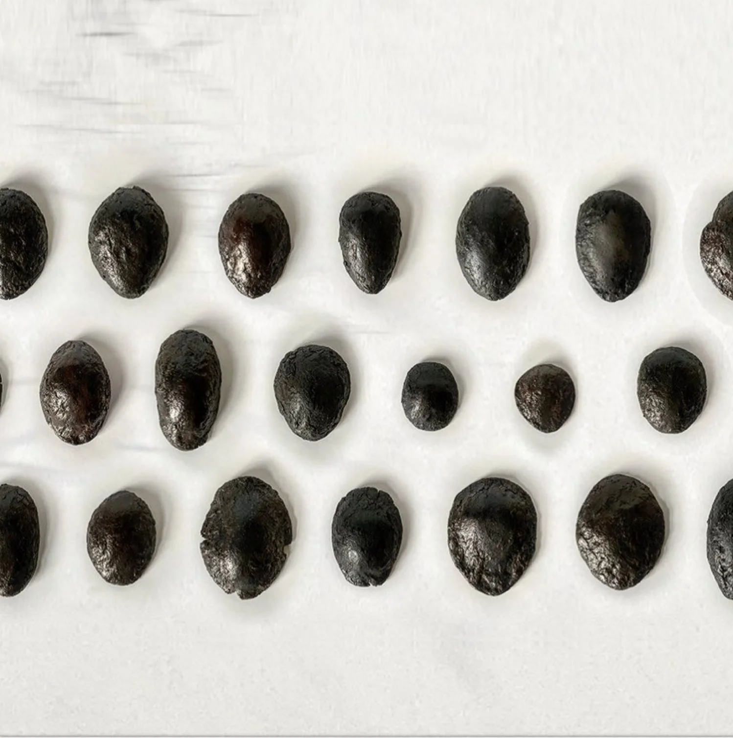 Several black ceramic arranged in rows on a white surface.