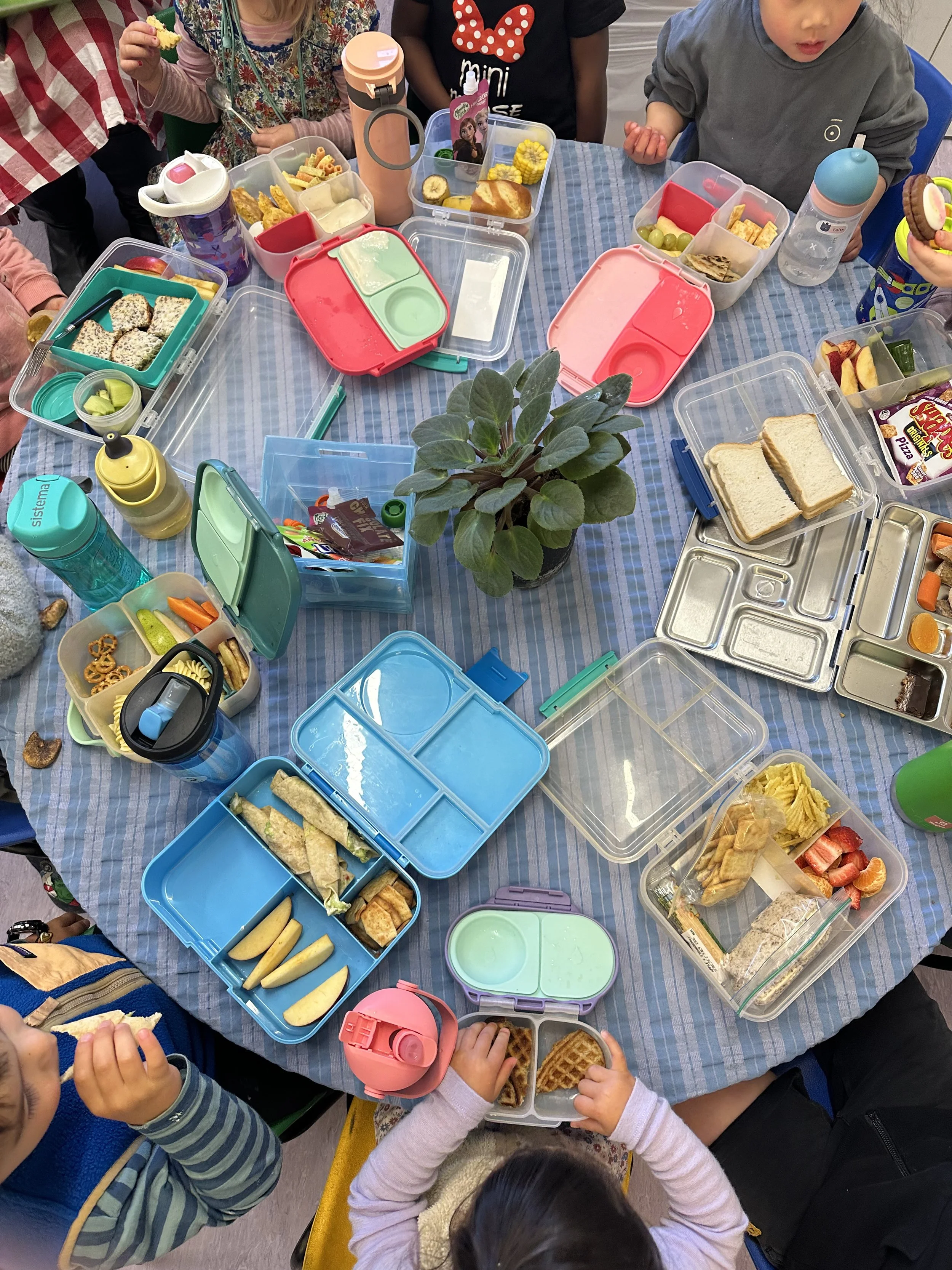 Children gathered around a table with lunchboxes and containers filled with sandwiches, fruits, snacks, and beverages, with a potted plant in the center.