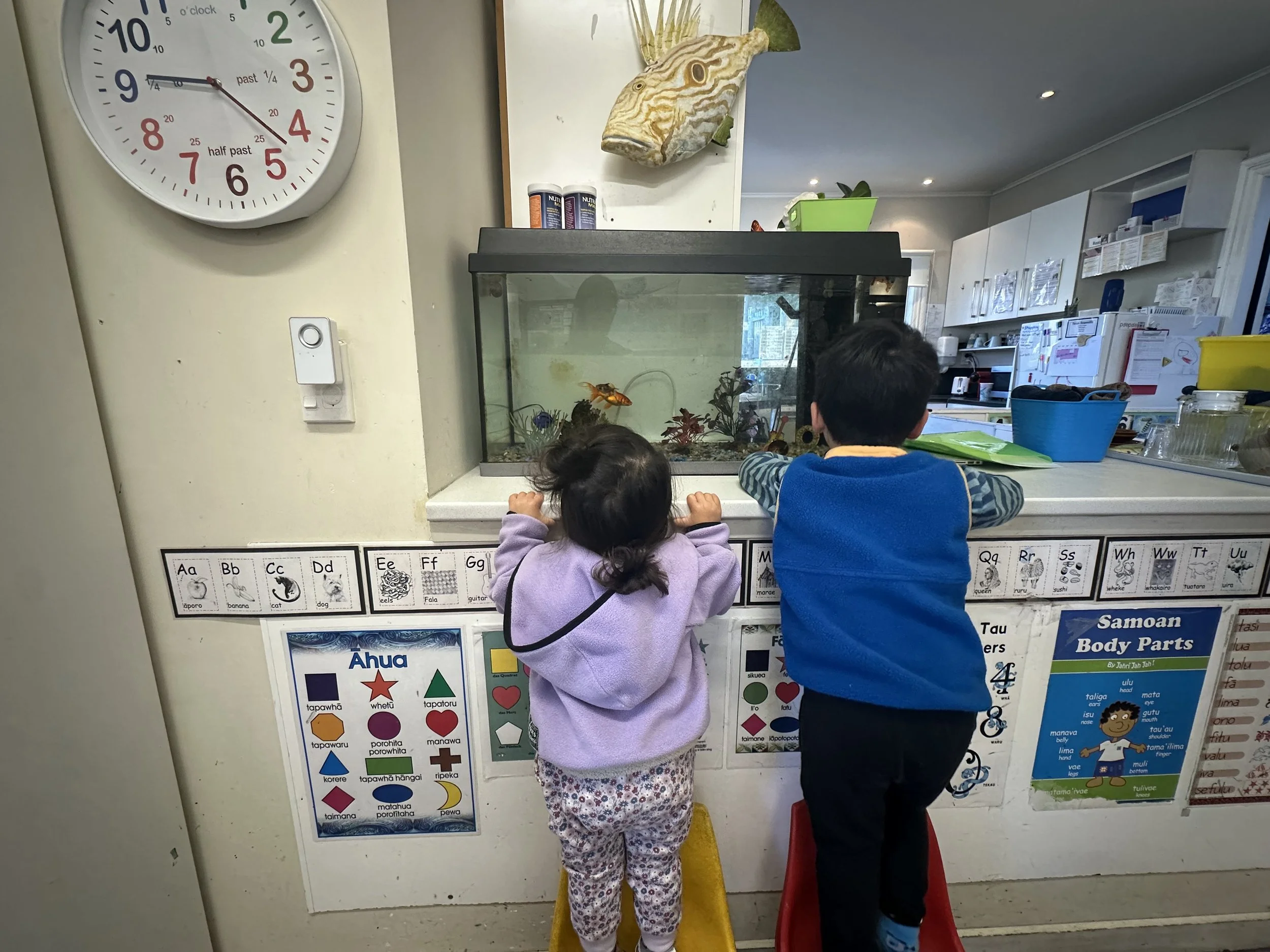Two children look into a fish tank on a counter in a classroom or a daycare setting. The girl has dark curly hair, wearing a purple sweater and patterned pants, standing on a yellow step stool. The boy has short dark hair, wearing a blue vest and bla