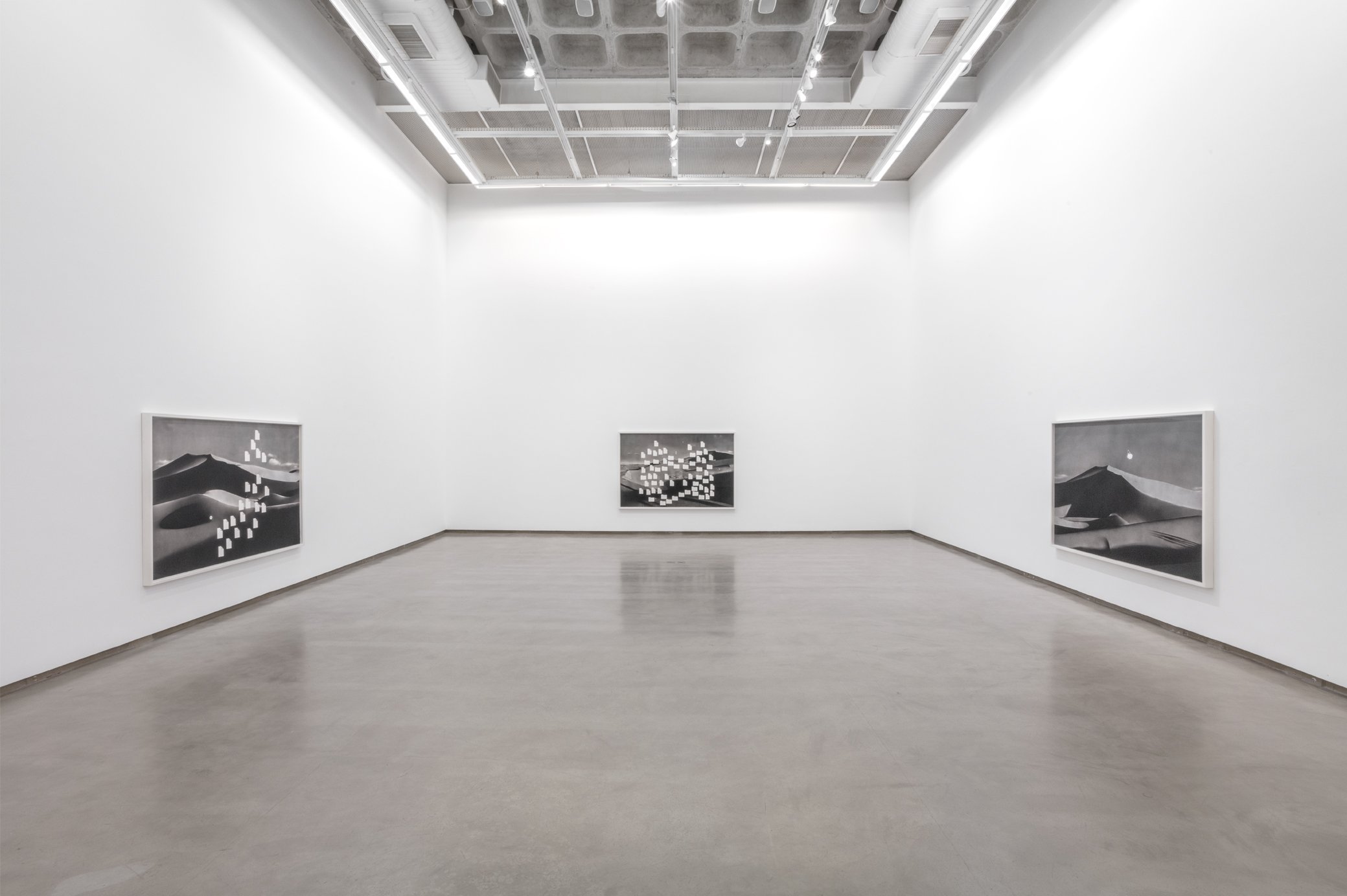 Installation view 'Superbloom' Galeria Anita Schwartz, Rio de Janeiro. 2022. Photo: Gabi Carrera.