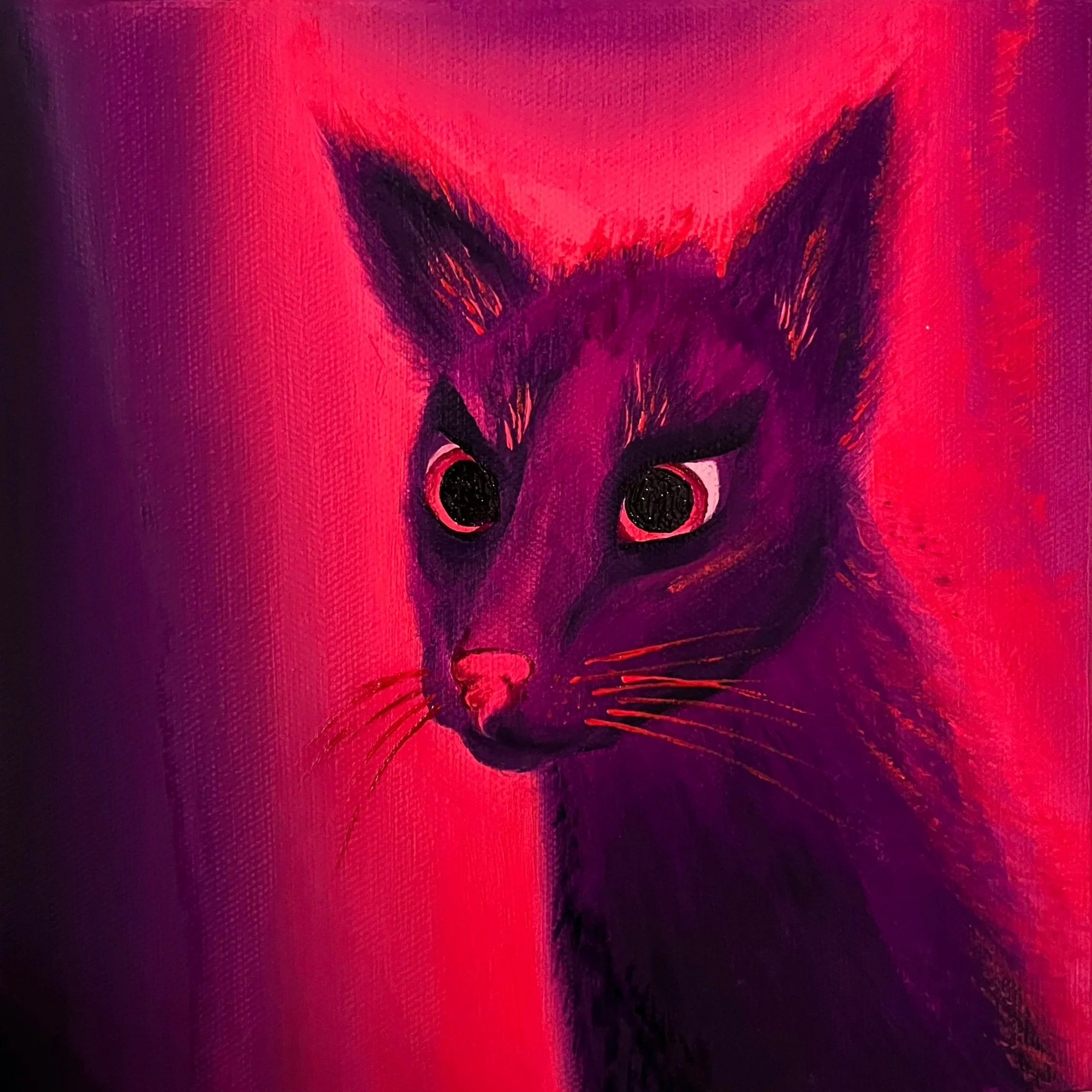 “Electric cat” (2026), unframed oil on canvas, 20.3 x 20.3 x 4.5cm
