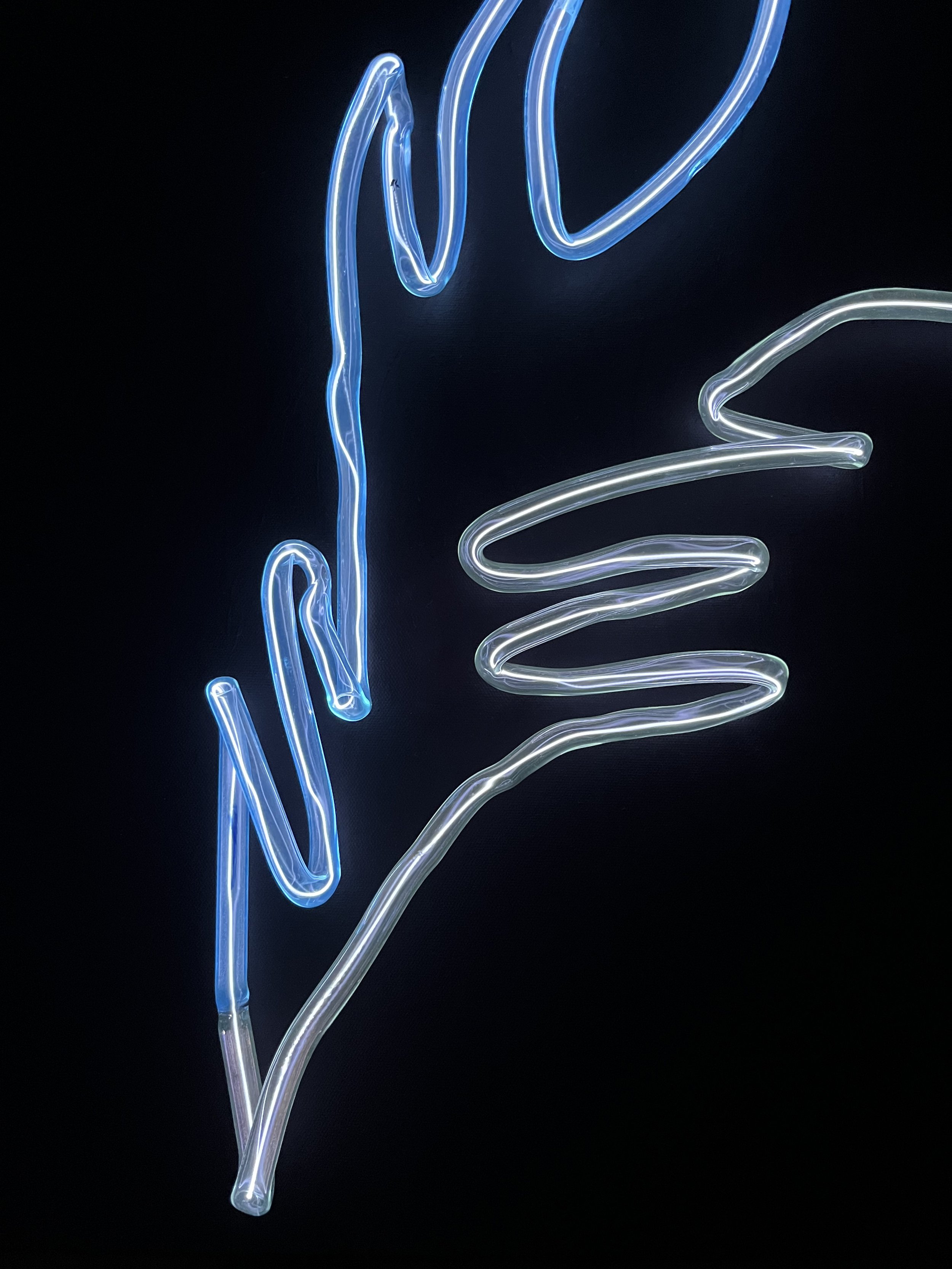 "Study: Lightning Bird" (2025). Glass, argon and xenon, 40 x 65 x 2cm