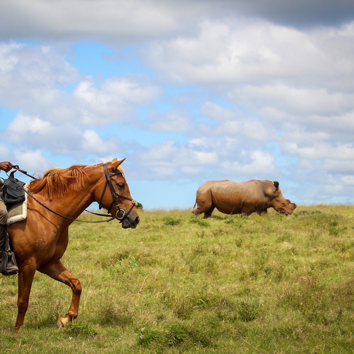 23-1-6-Mounted-Unit-Ride-Out-54.jpg