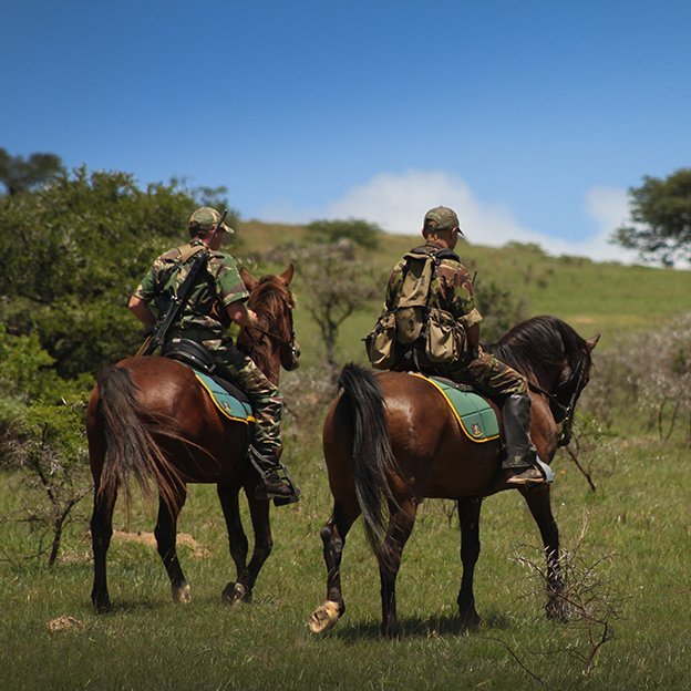 Horse-Patrol.jpg